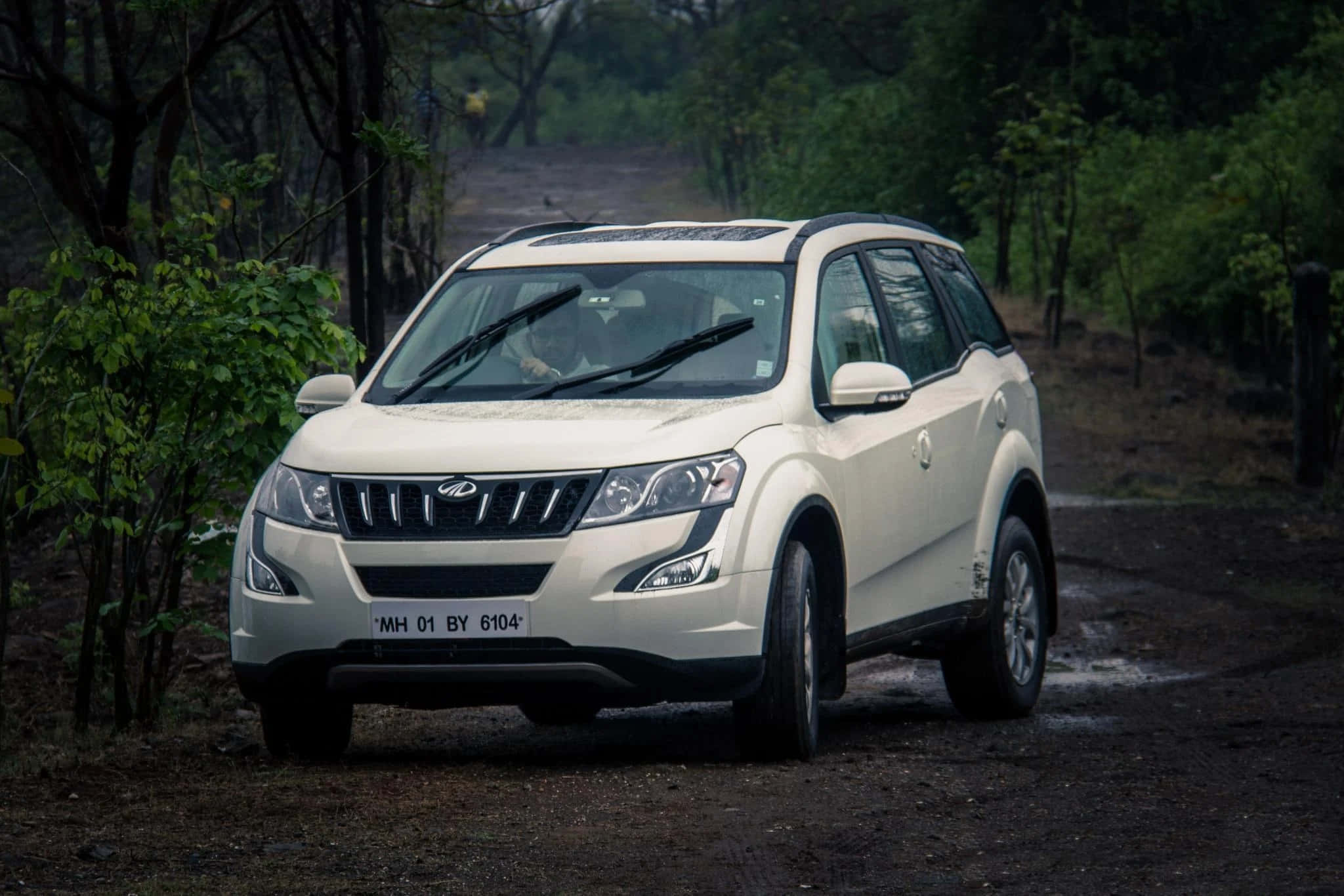 Mahindra XUV500, white, muddy forest road, Full HD Desktop Wallpaper