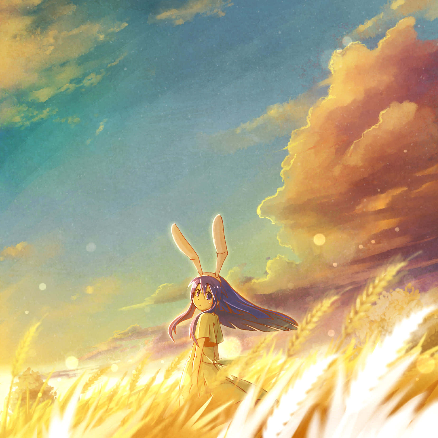 Mai Kawasumi, golden wheat field, vibrant sunset sky, HD Desktop Wallpaper