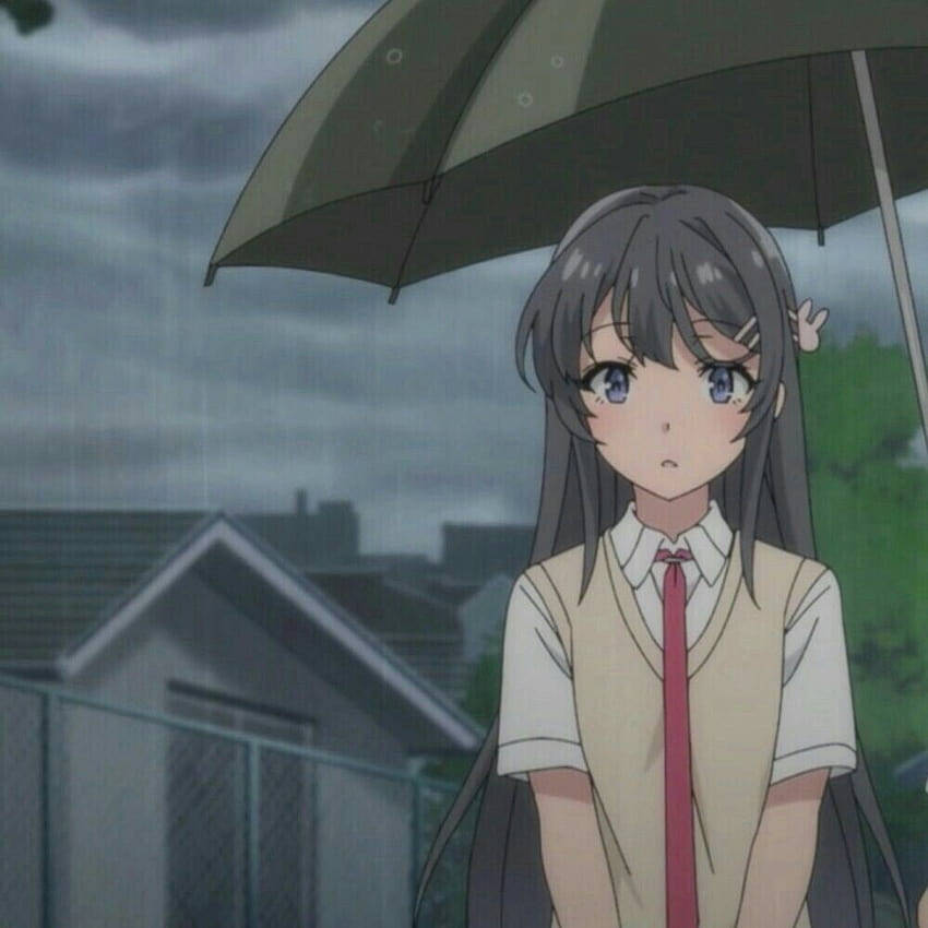 Mai Sakurajima, grey hair, blue eyes, SD Desktop Wallpaper