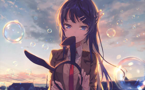 Mai Sakurajima, long dark hair, steering wheel, SD Desktop Wallpaper