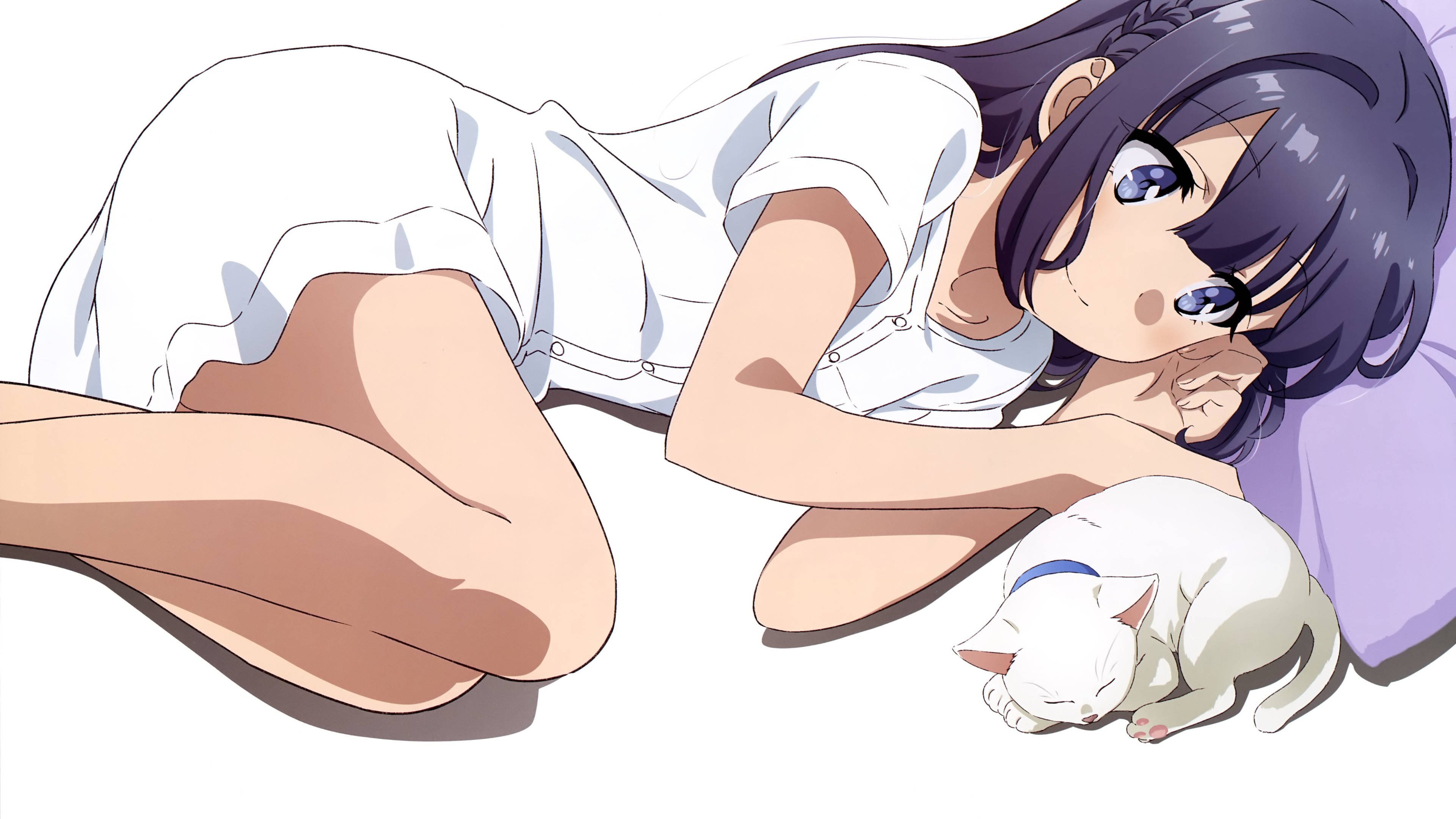 Mai Sakurajima, white cat, purple-haired, 4K Desktop Wallpaper