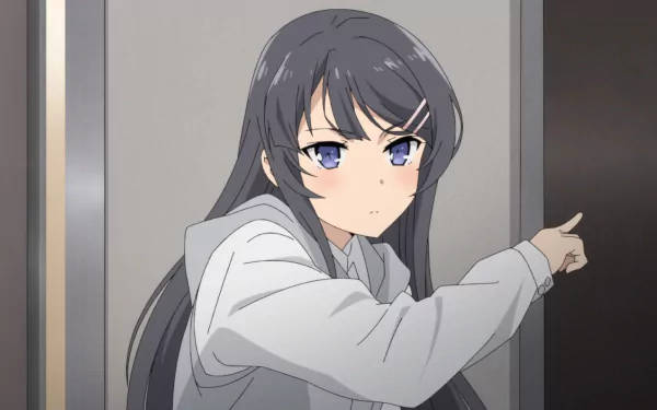 Mai Sakurajima, gray hoodie, long dark hair, SD Desktop Wallpaper