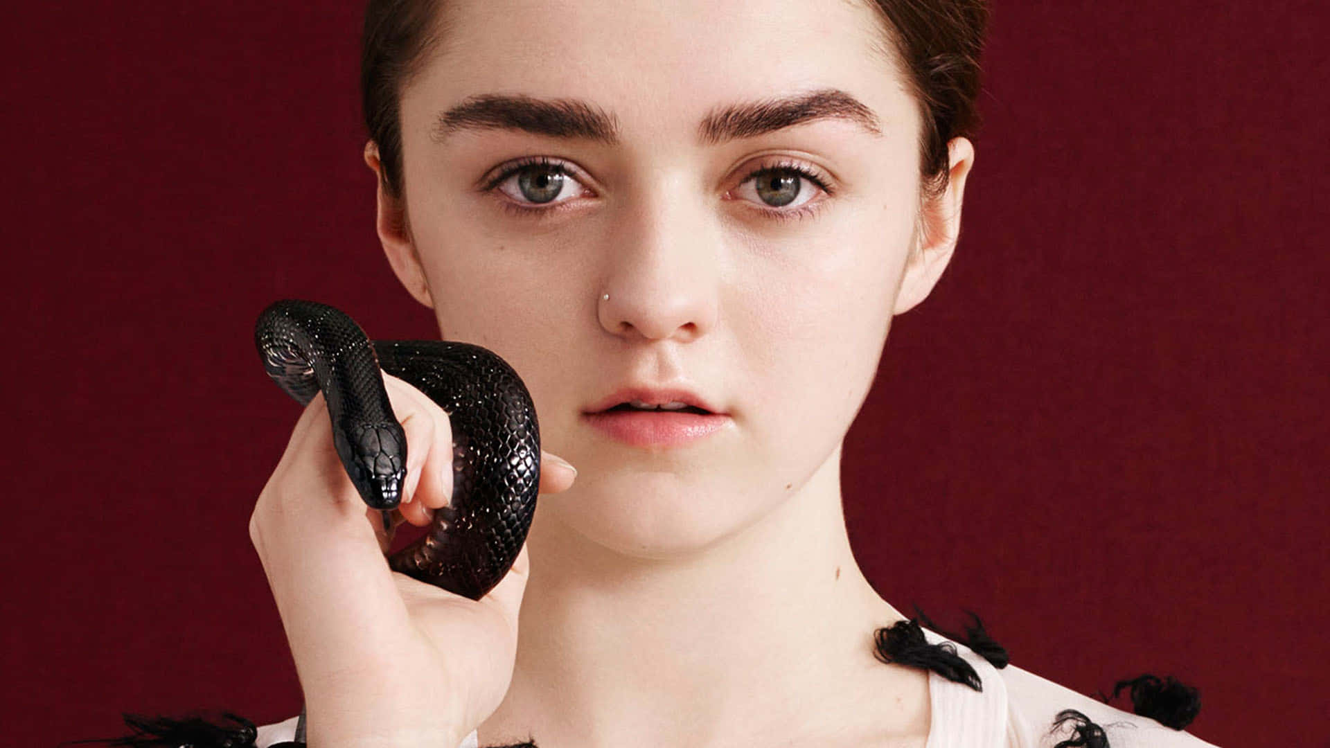 Maisie Williams, black snake, deep red backdrop, Full HD Desktop Wallpaper