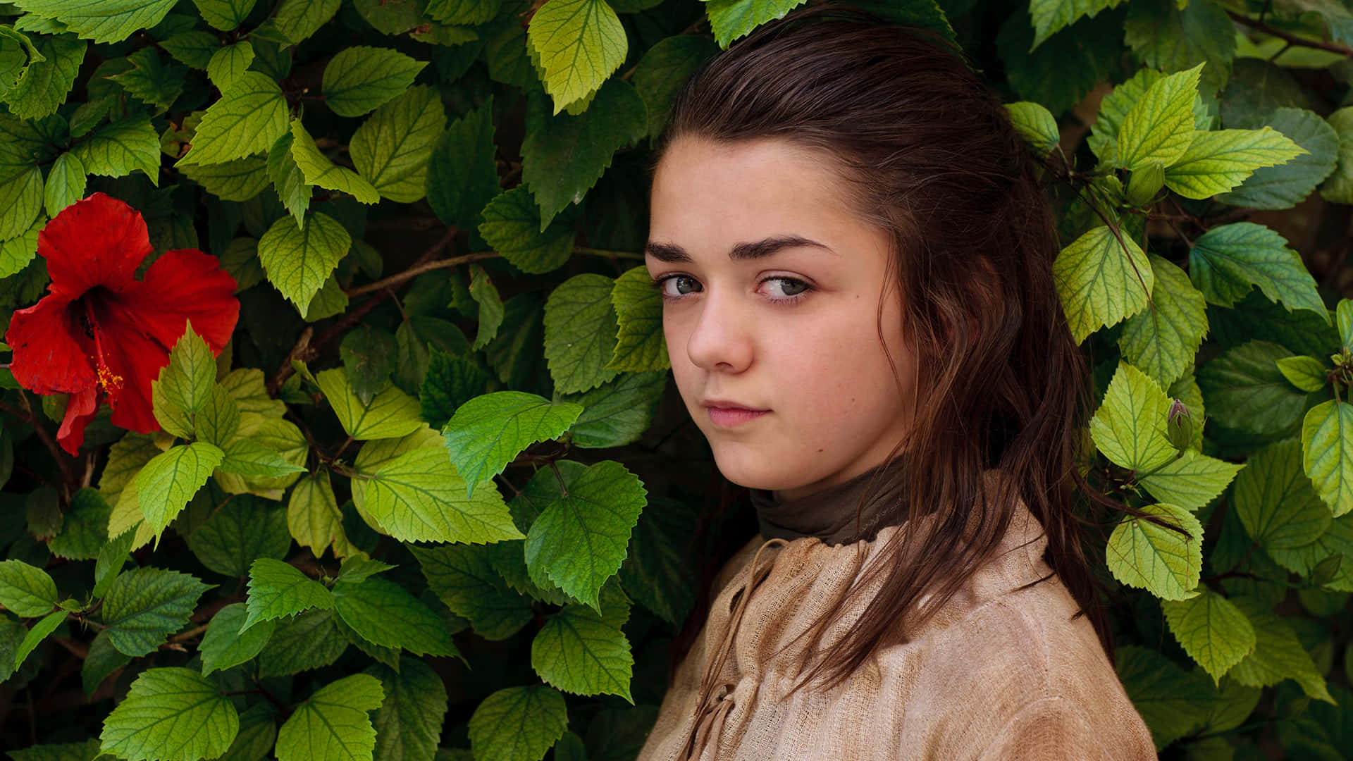 Maisie Williams, red carpet event, dark hair, Full HD Desktop Wallpaper