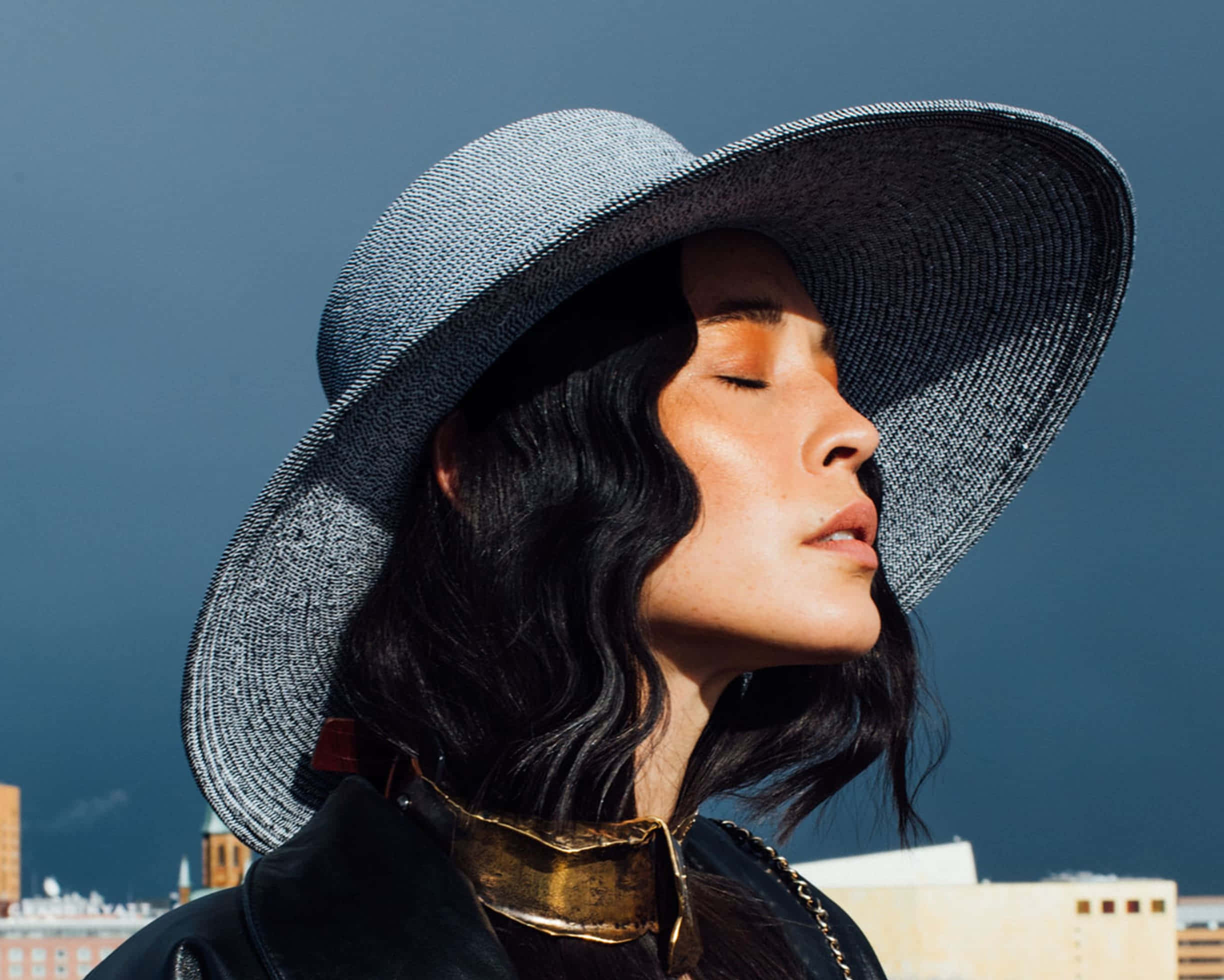 Maison Michel, wide-brimmed gray hat, golden collar, Full HD Desktop Wallpaper