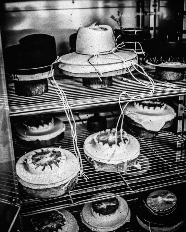 Maison Michel, vintage hats, circular objects, SD Phone Wallpaper