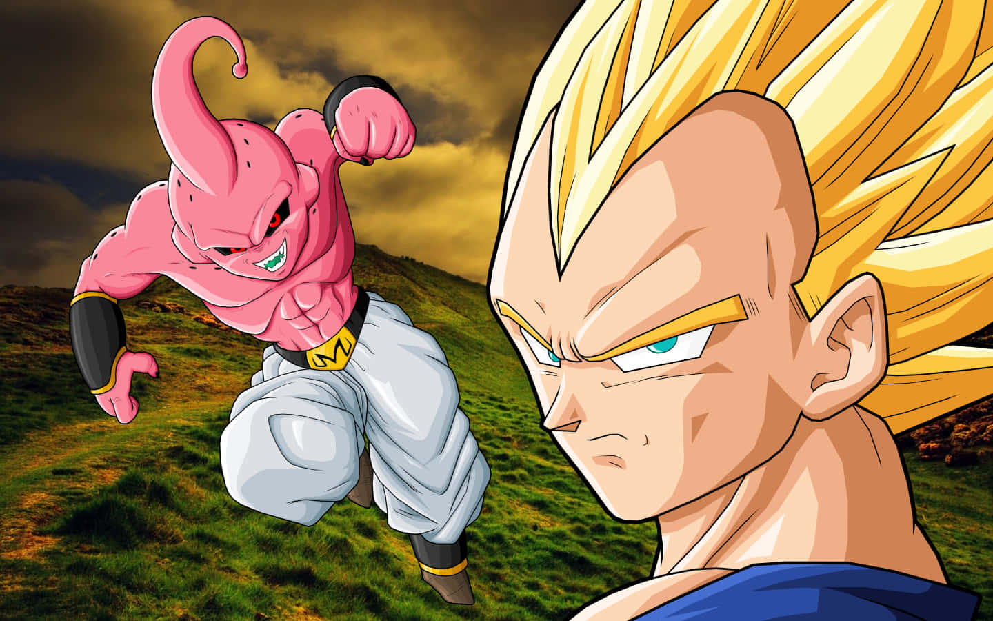 Majin Vegeta, pink-haired villain, golden-haired warrior, HD Desktop Wallpaper