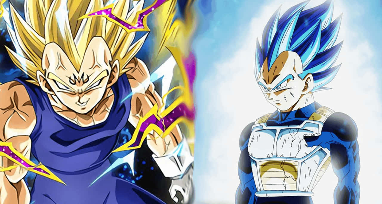 Majin Vegeta, smiling face, anime warriors, HD Desktop Wallpaper