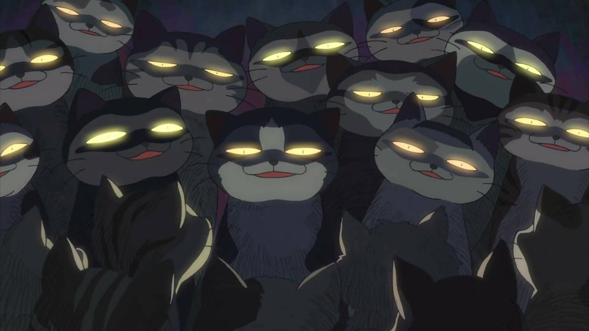 Makoto Shinkai, black cats, glowing yellow eyes, Full HD Desktop Wallpaper