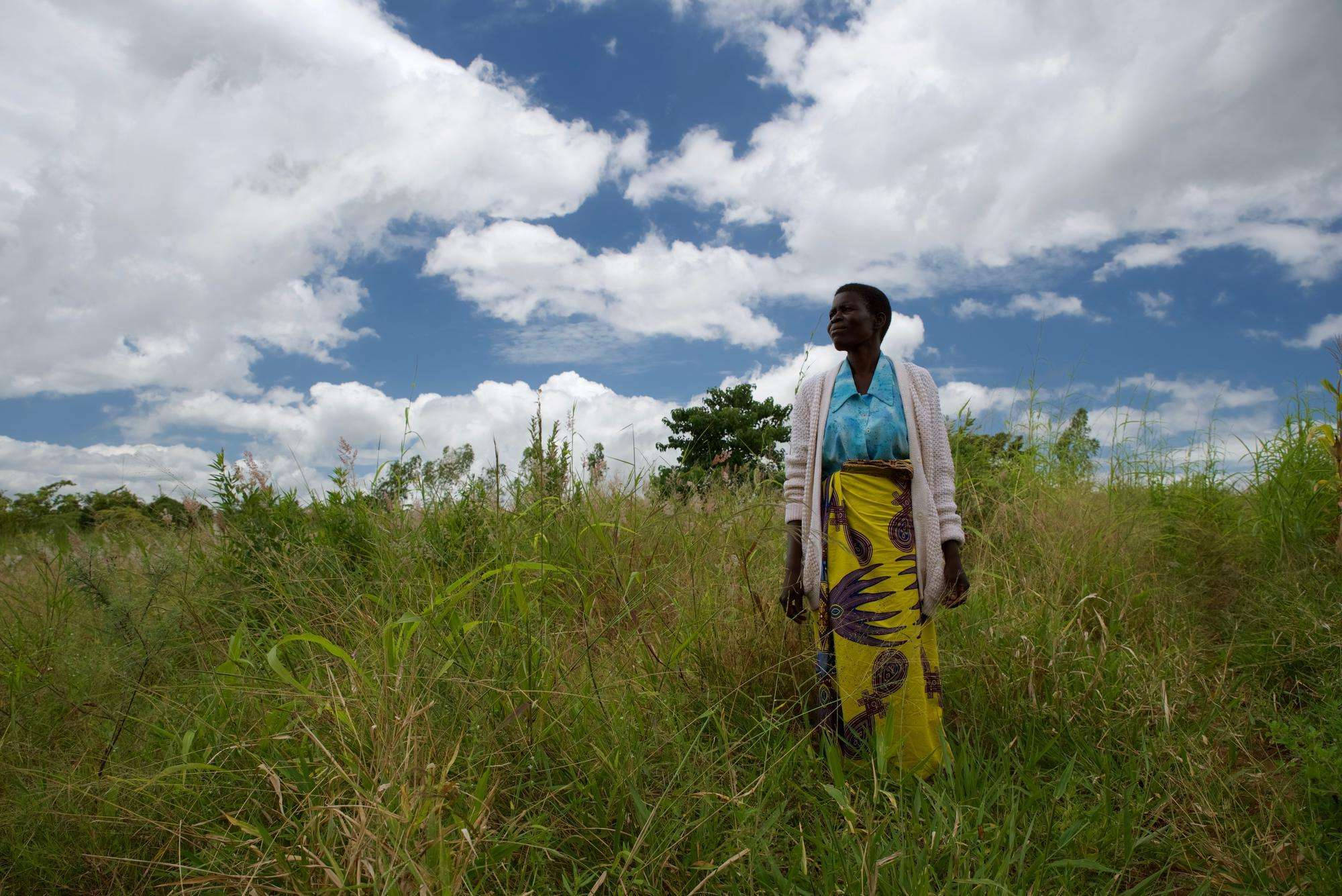 Malawi, cloudy sky, grass field, Full HD Desktop Wallpaper
