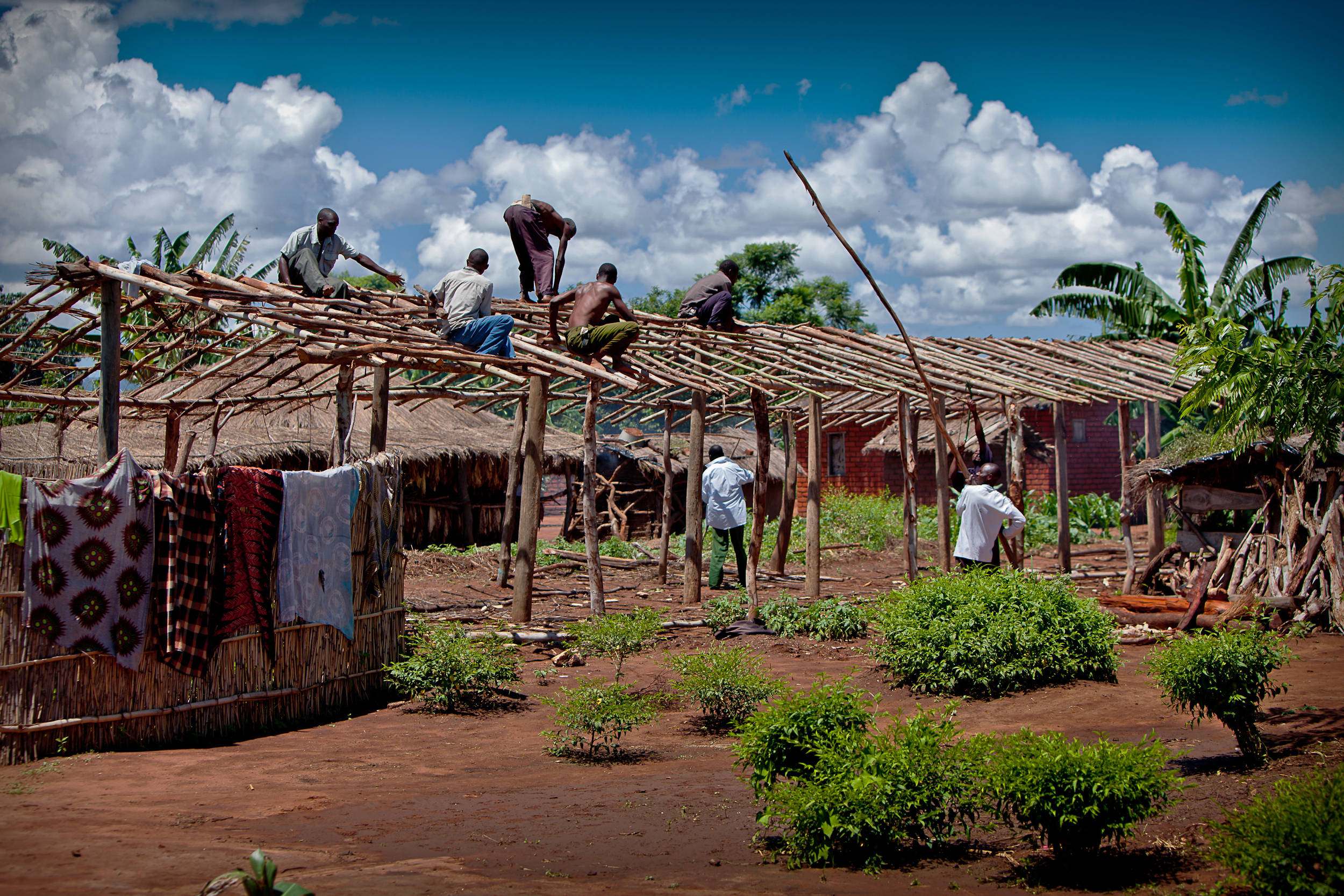 Malawi, wooden house, thatched roof, Full HD Desktop Wallpaper
