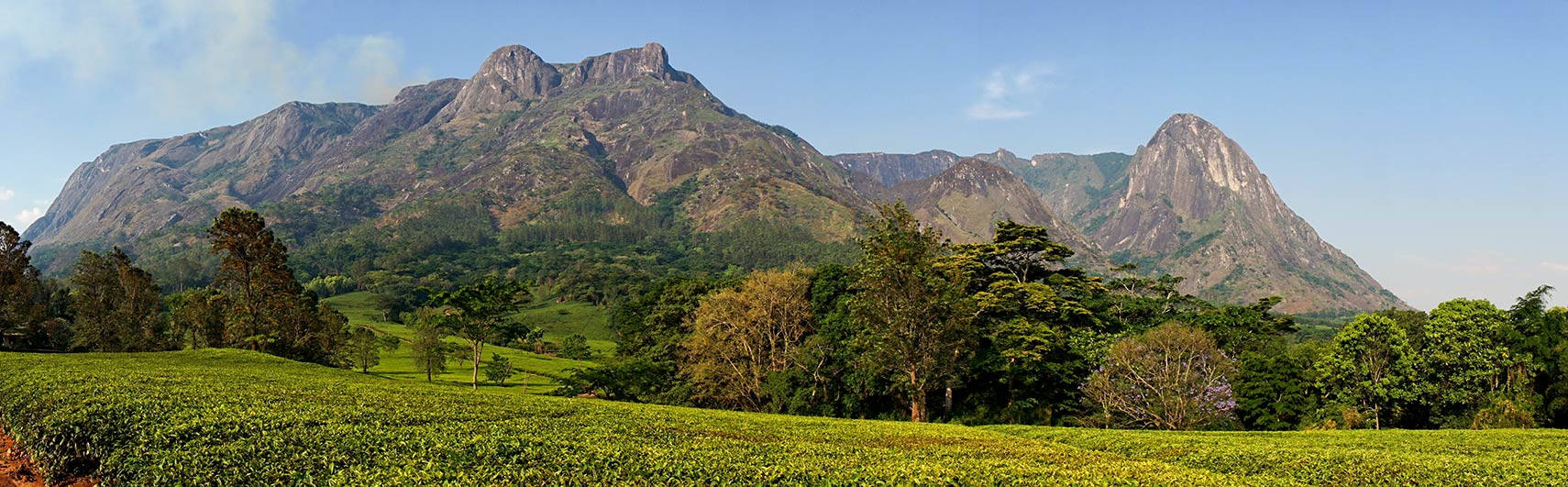 Malawi, rocky mountain, green tea fields, HD Desktop Wallpaper