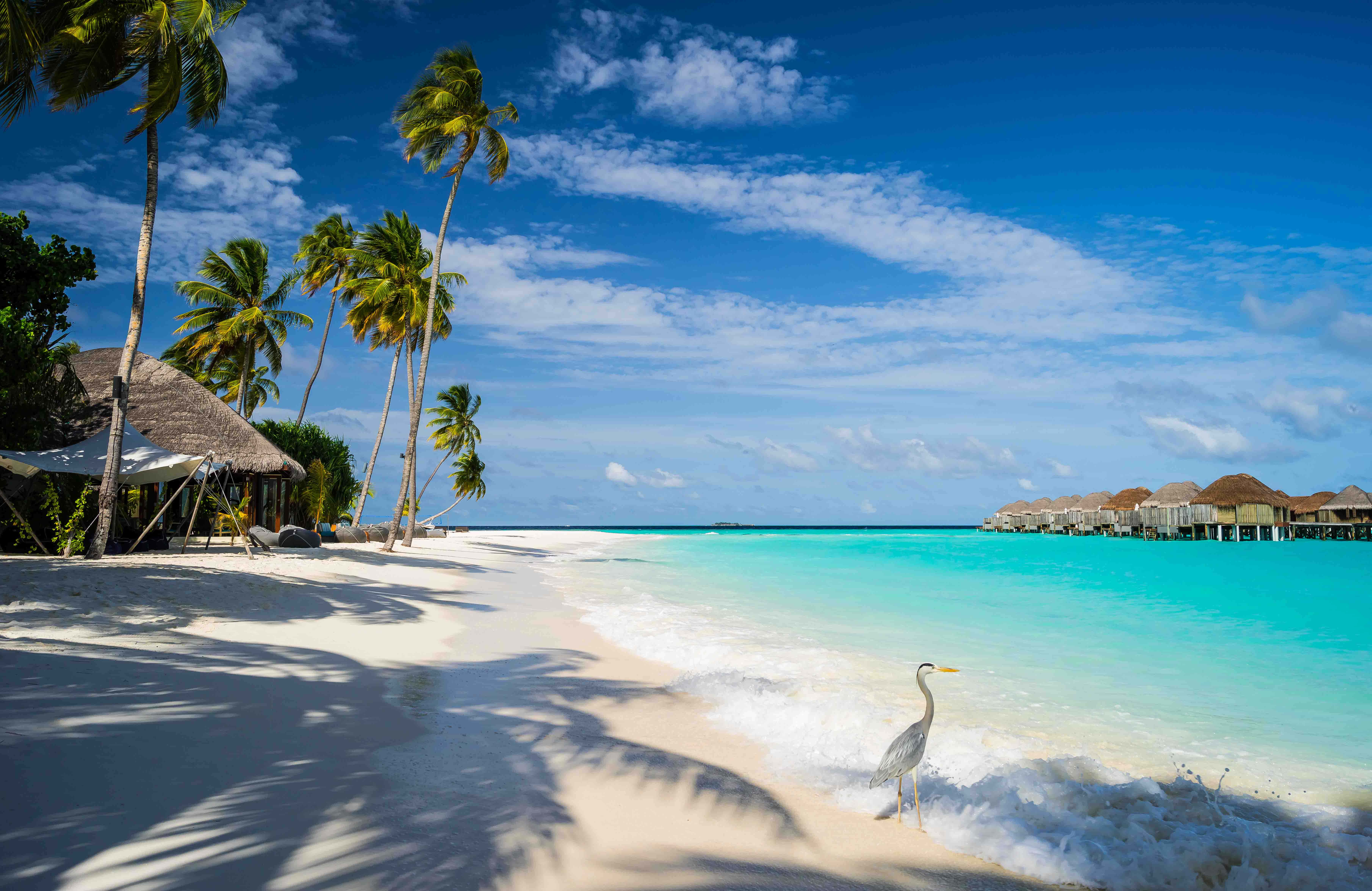 Maldives Beach, white sand, turquoise water, 5K Desktop Wallpaper