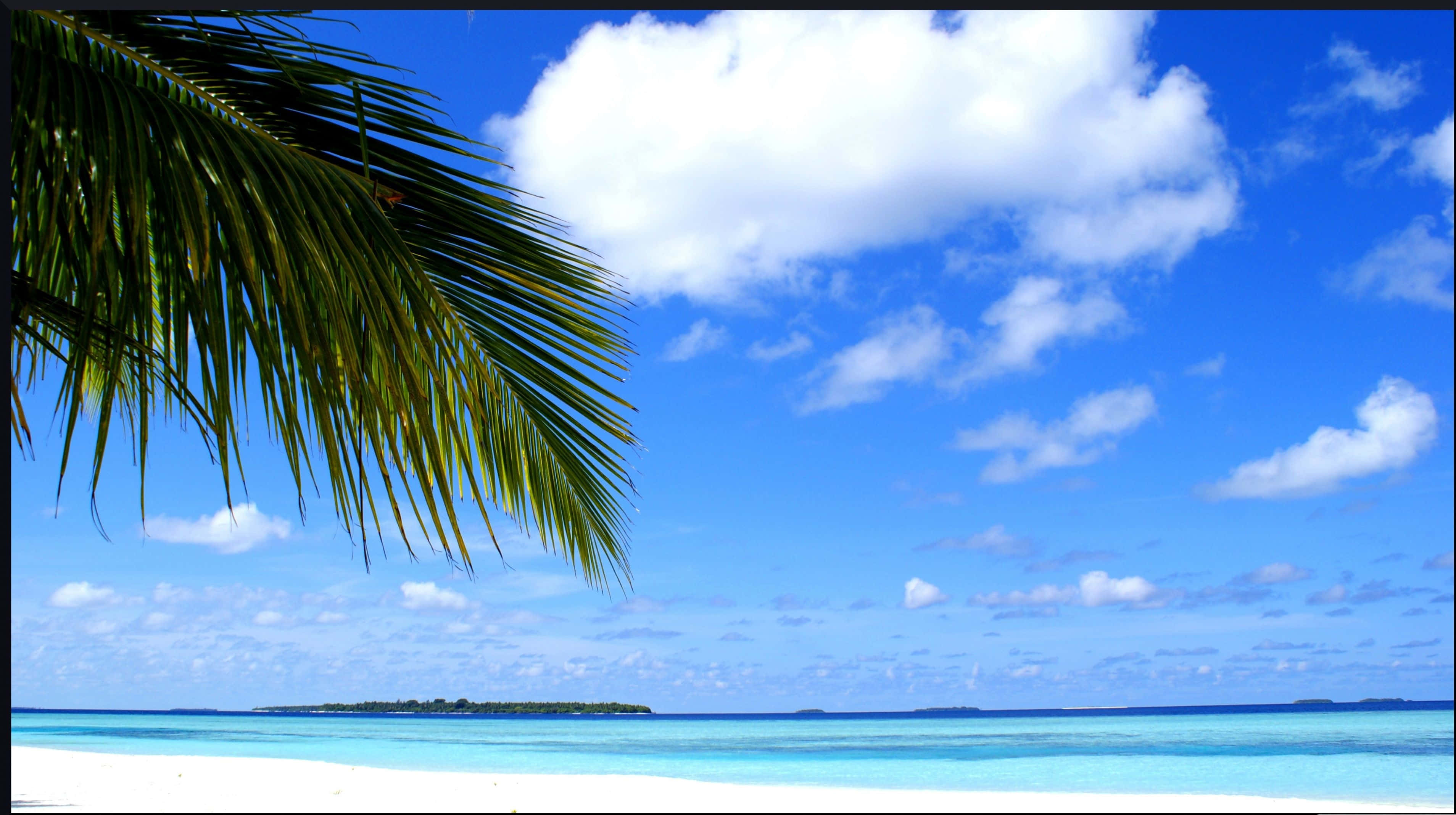 Maldives Beach, turquoise waters, white sand, 2K Desktop Wallpaper