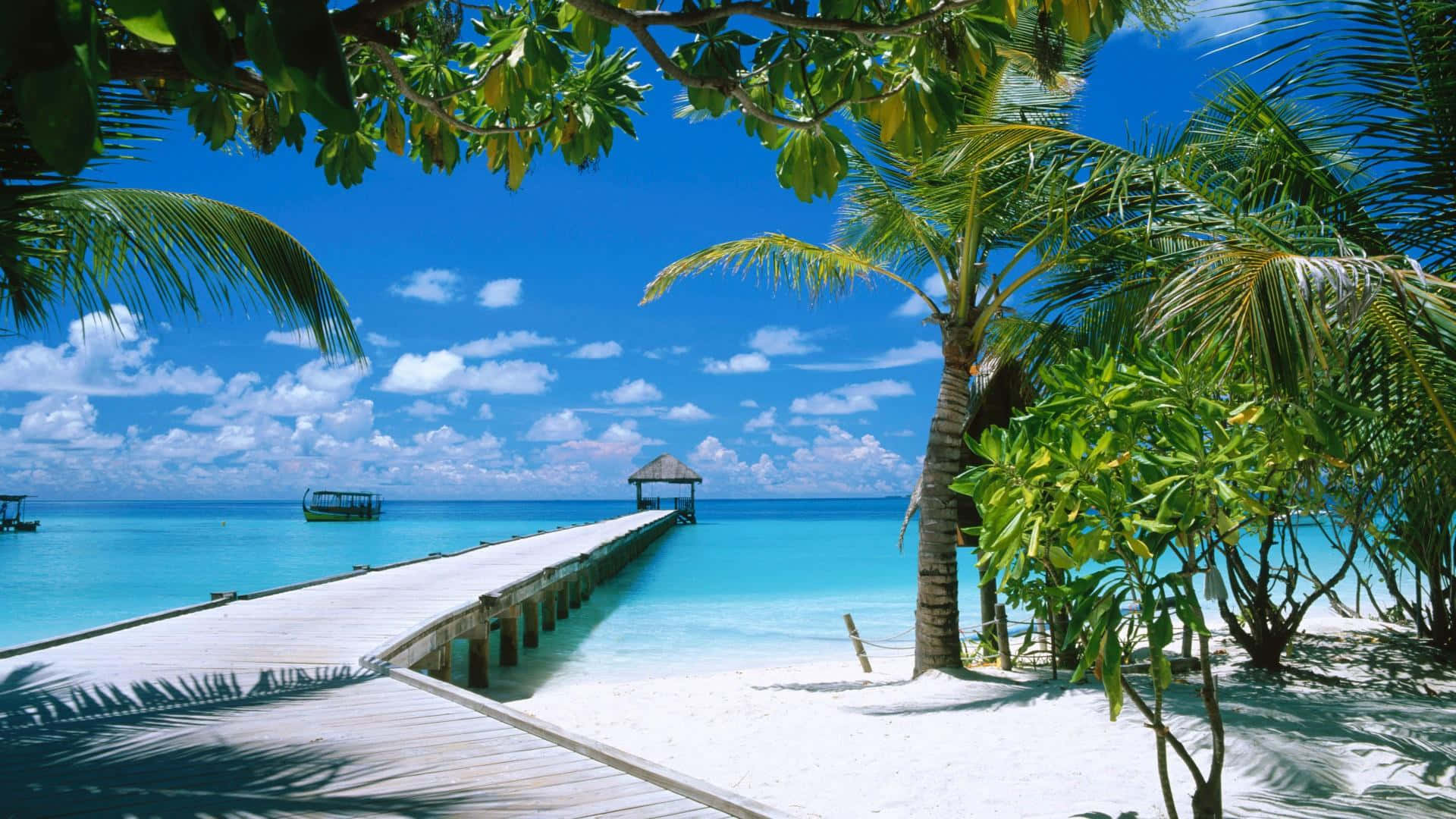 Maldives Beach, turquoise waters, bright blue sky, Full HD Desktop Wallpaper