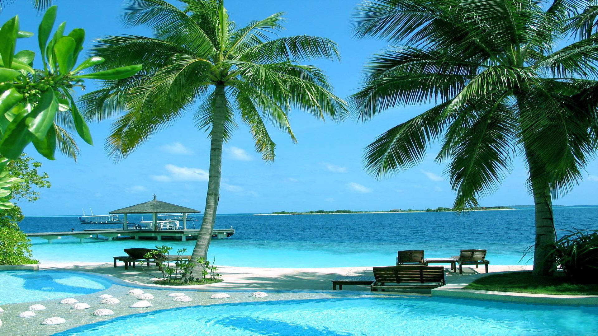 Maldives, paradise beach, palm trees, Full HD Desktop Wallpaper