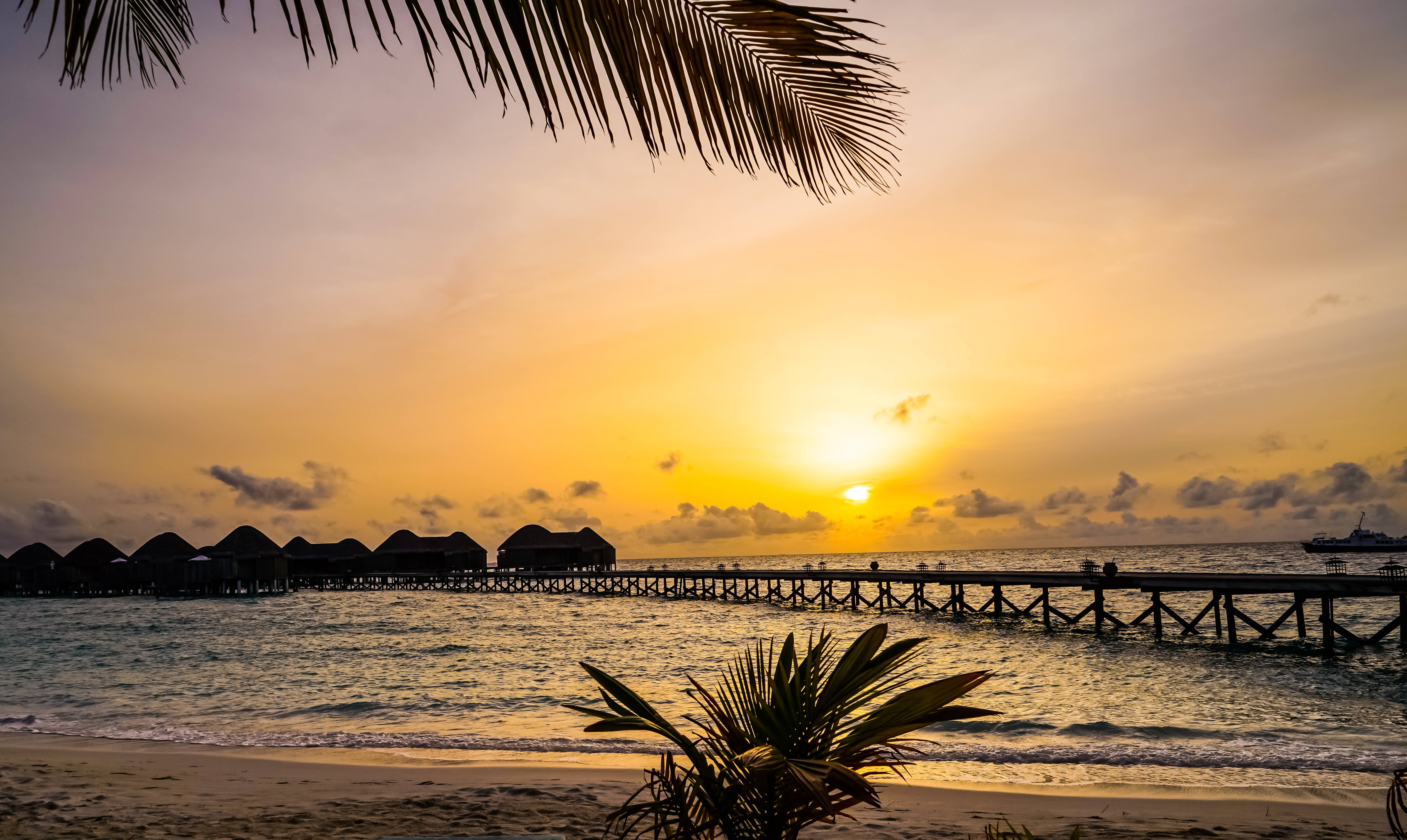 Maldives, beach, sunset, 5K Desktop Wallpaper