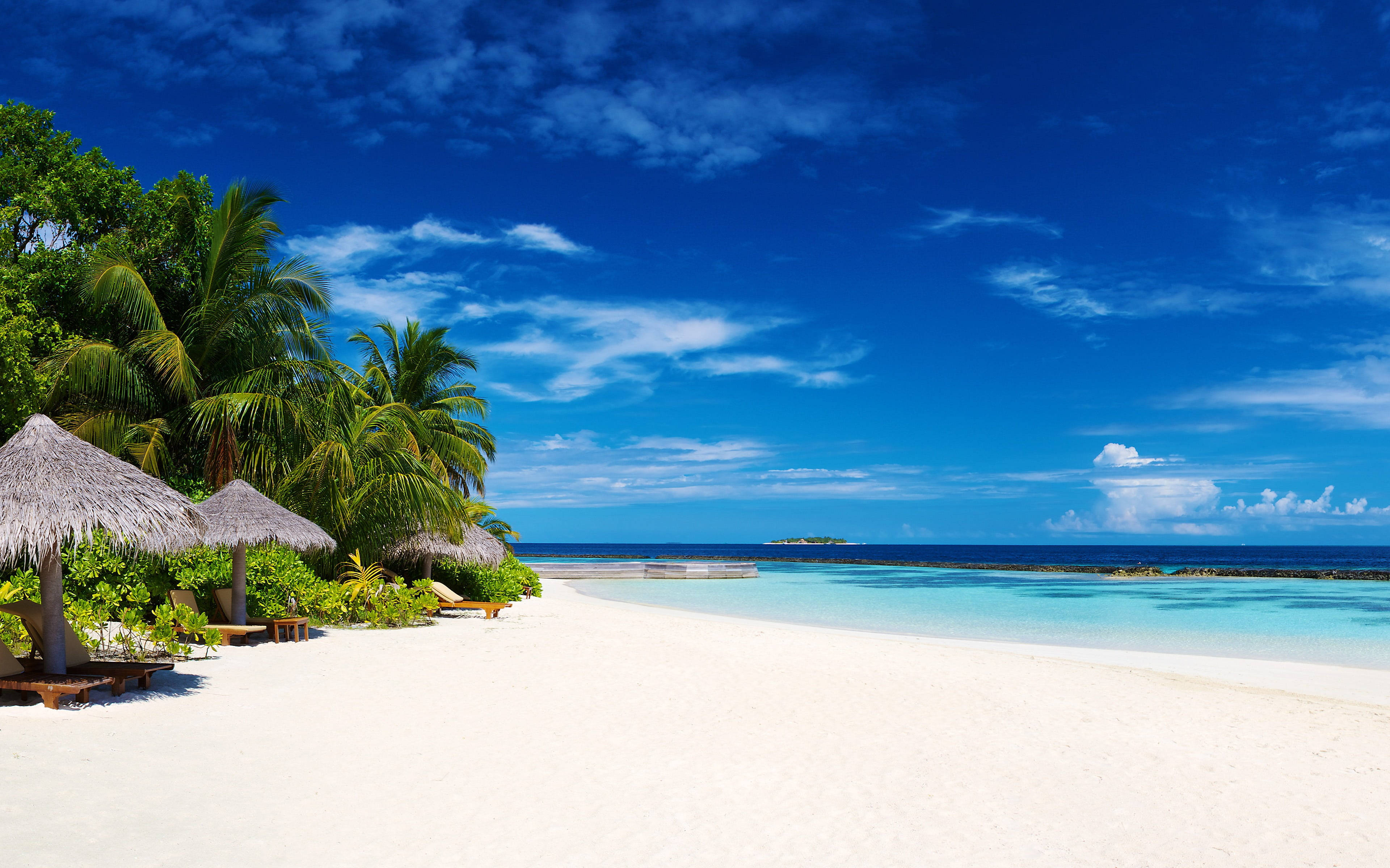 Maldives, white sandy beach, lush palm trees, 4K Desktop Wallpaper