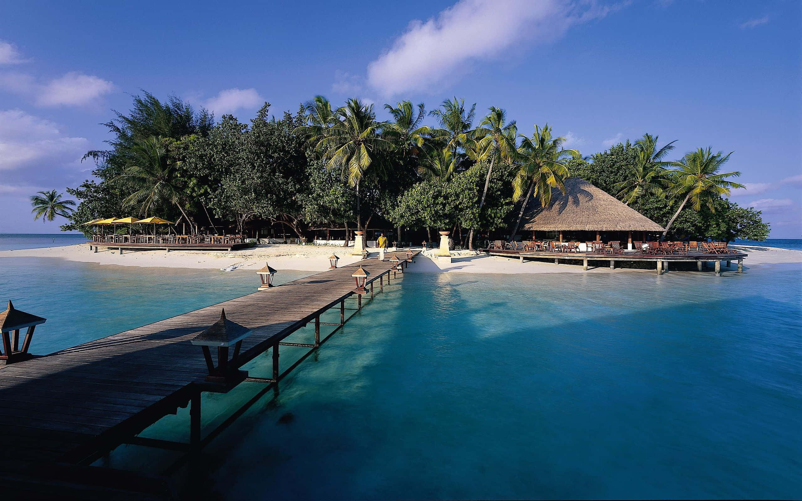 Maldives, turquoise waters, tropical island, 2K Desktop Wallpaper