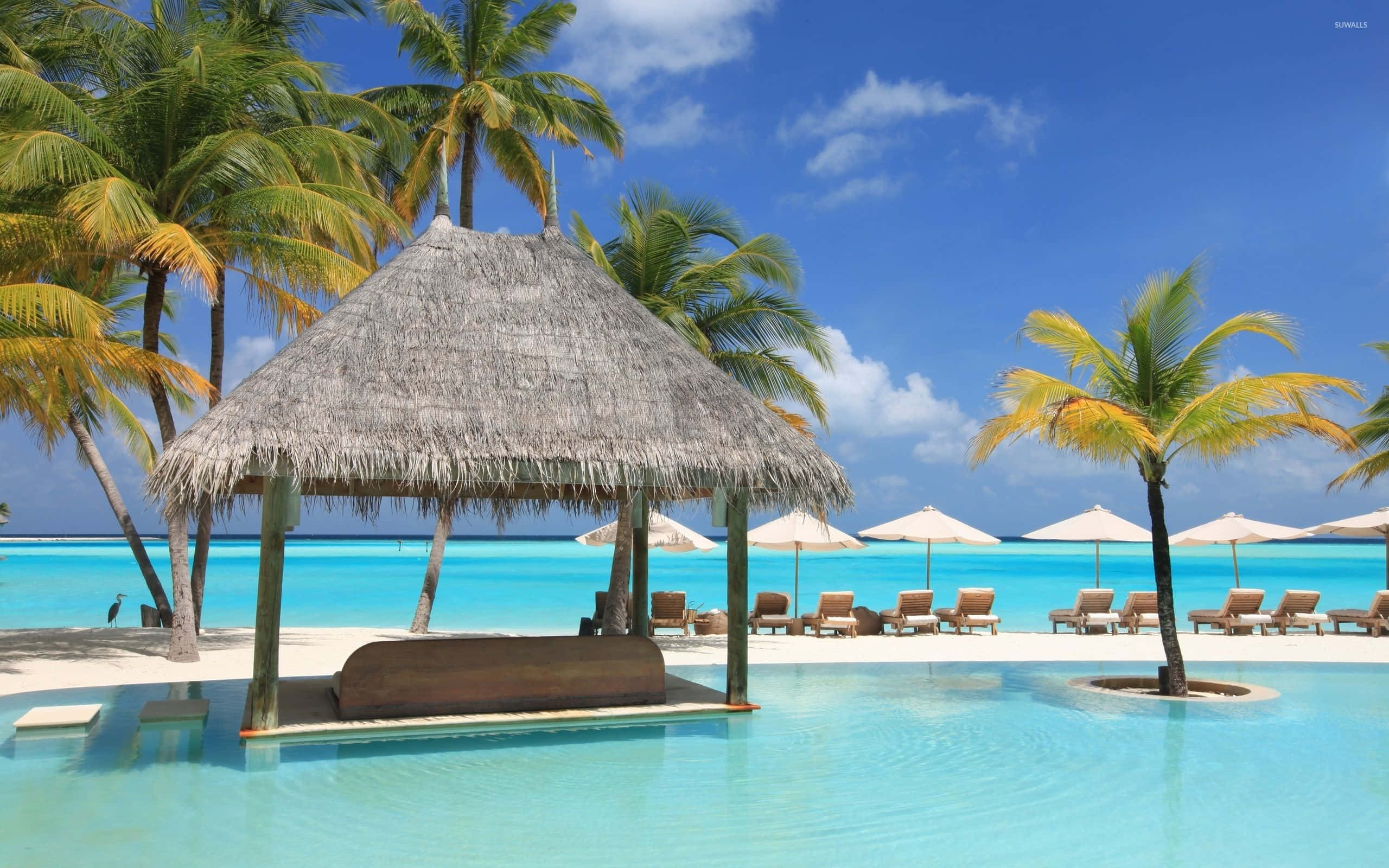 Maldives Beach, thatched gazebo, palm trees, 2K Desktop Wallpaper