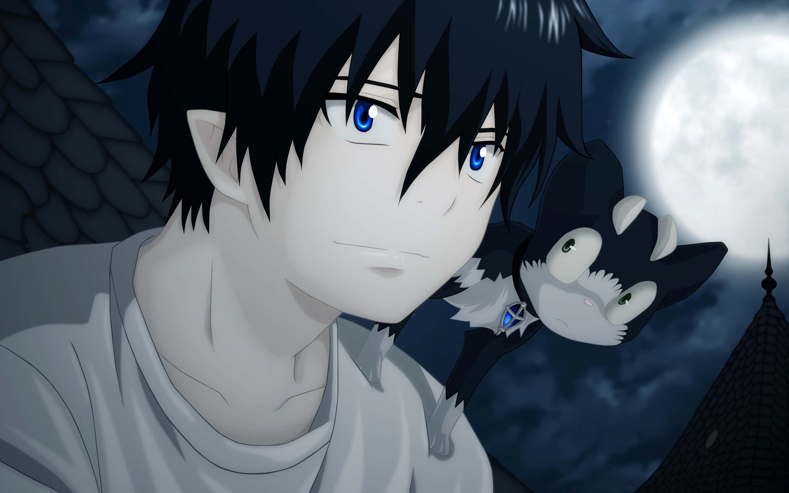 blue eyed anime boy, black cat, full moon, 2K Desktop Wallpaper