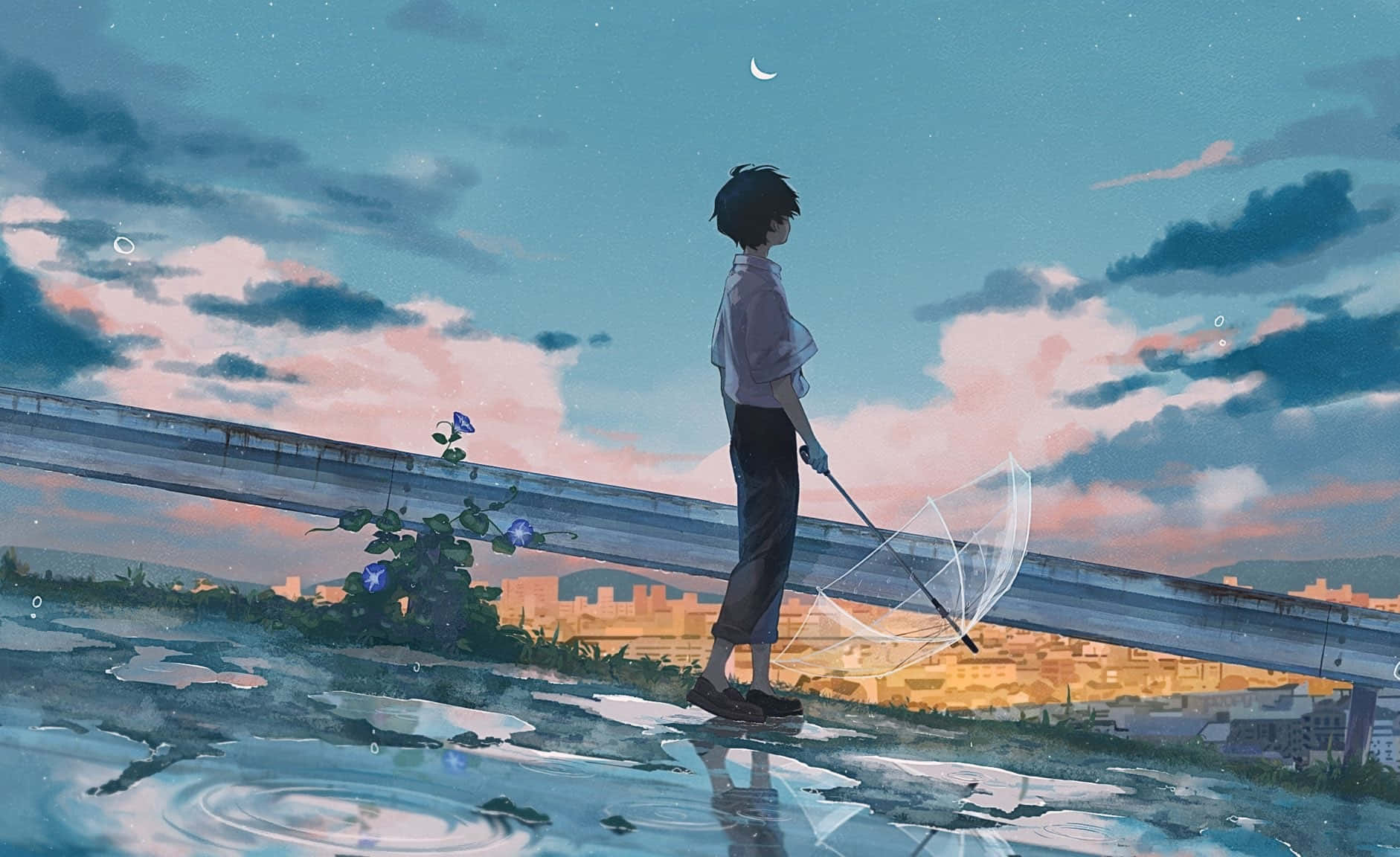 anime boy, wet rooftop, transparent umbrella, HD Desktop Wallpaper
