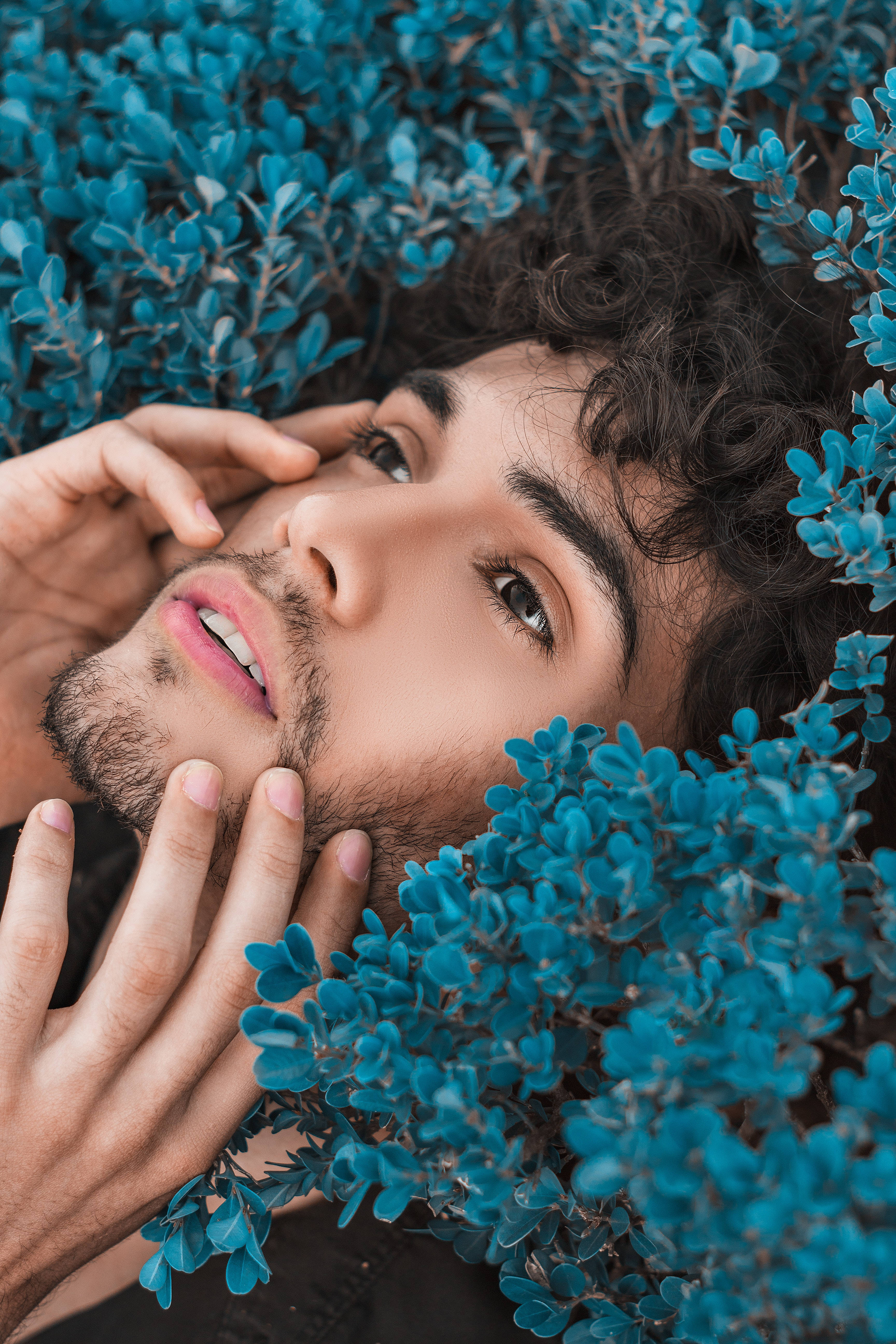 male model, dark curly hair, vibrant blue foliage, 5K Phone Wallpaper