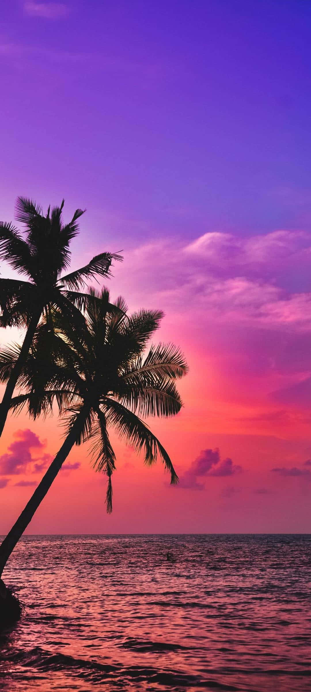 palm trees, beach, scenic sunset, Full HD Phone Wallpaper