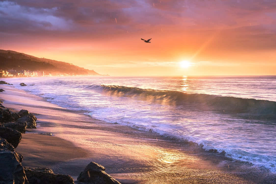 Malibu Beach, sunrise, purple ocean, SD Desktop Wallpaper