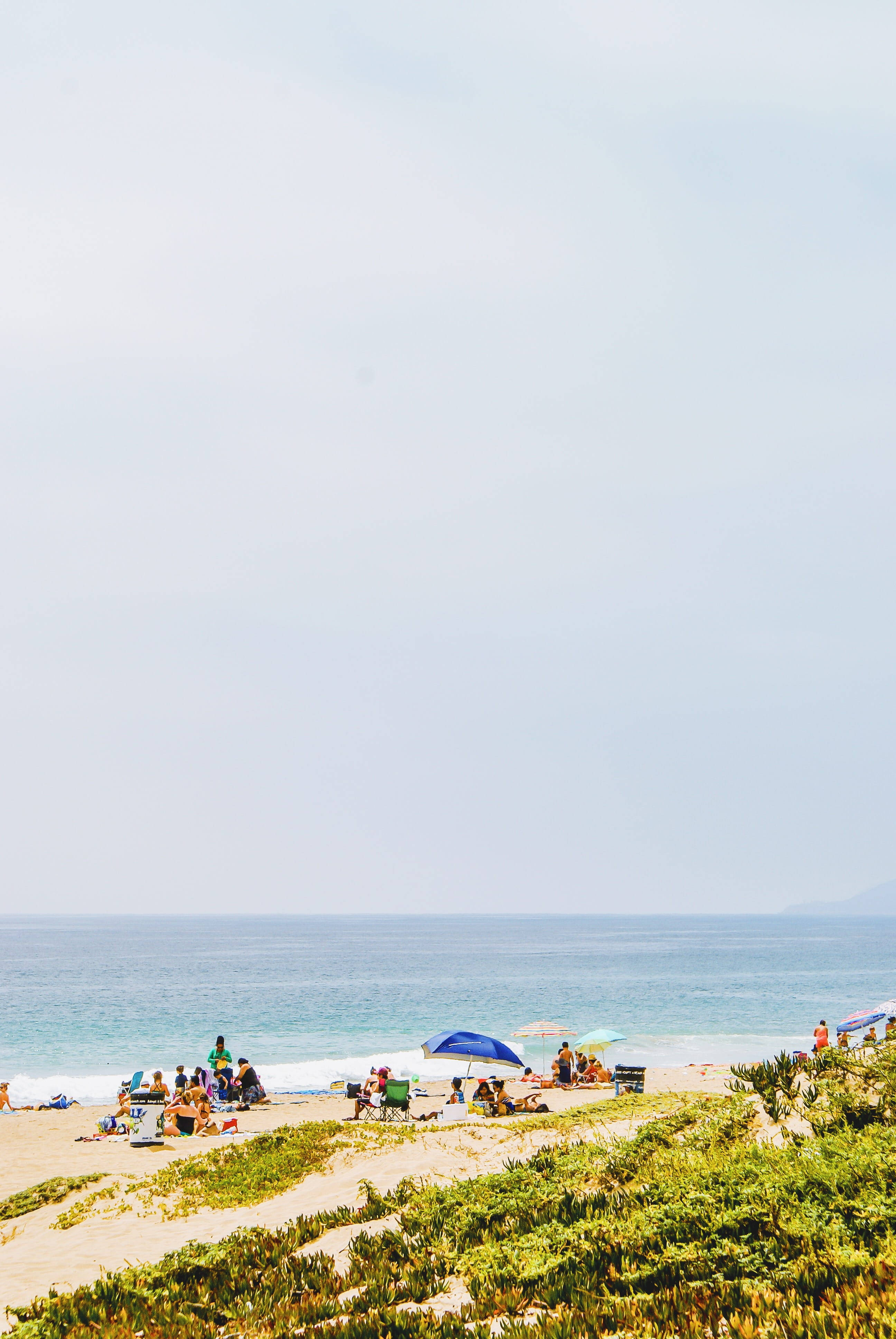 Malibu Beach, turquoise ocean, green dunes, 4K Phone Wallpaper