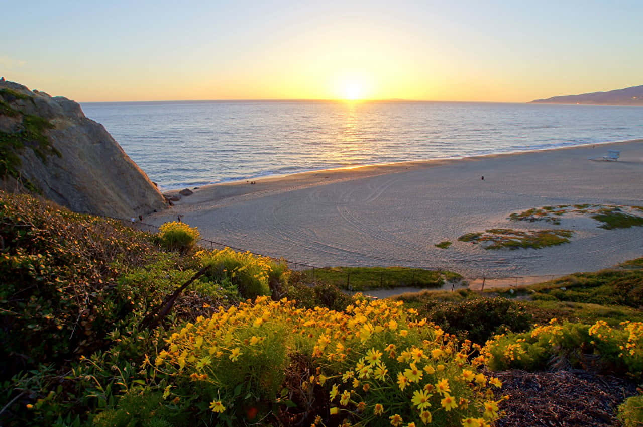 Malibu Beach, sunrise, golden sunset, HD Desktop Wallpaper