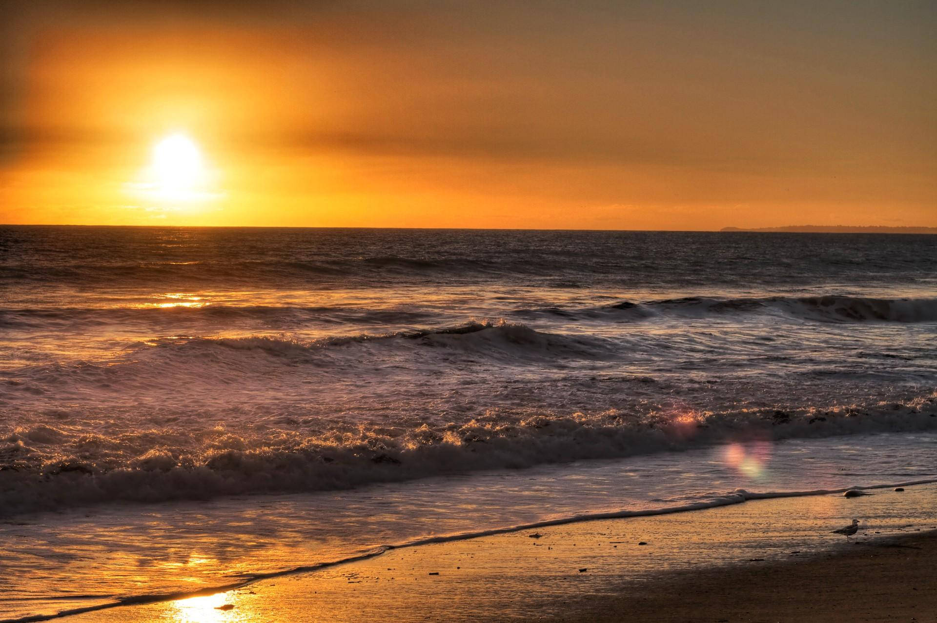 Malibu Beach, orange sunset, golden sunset, Full HD Desktop Wallpaper