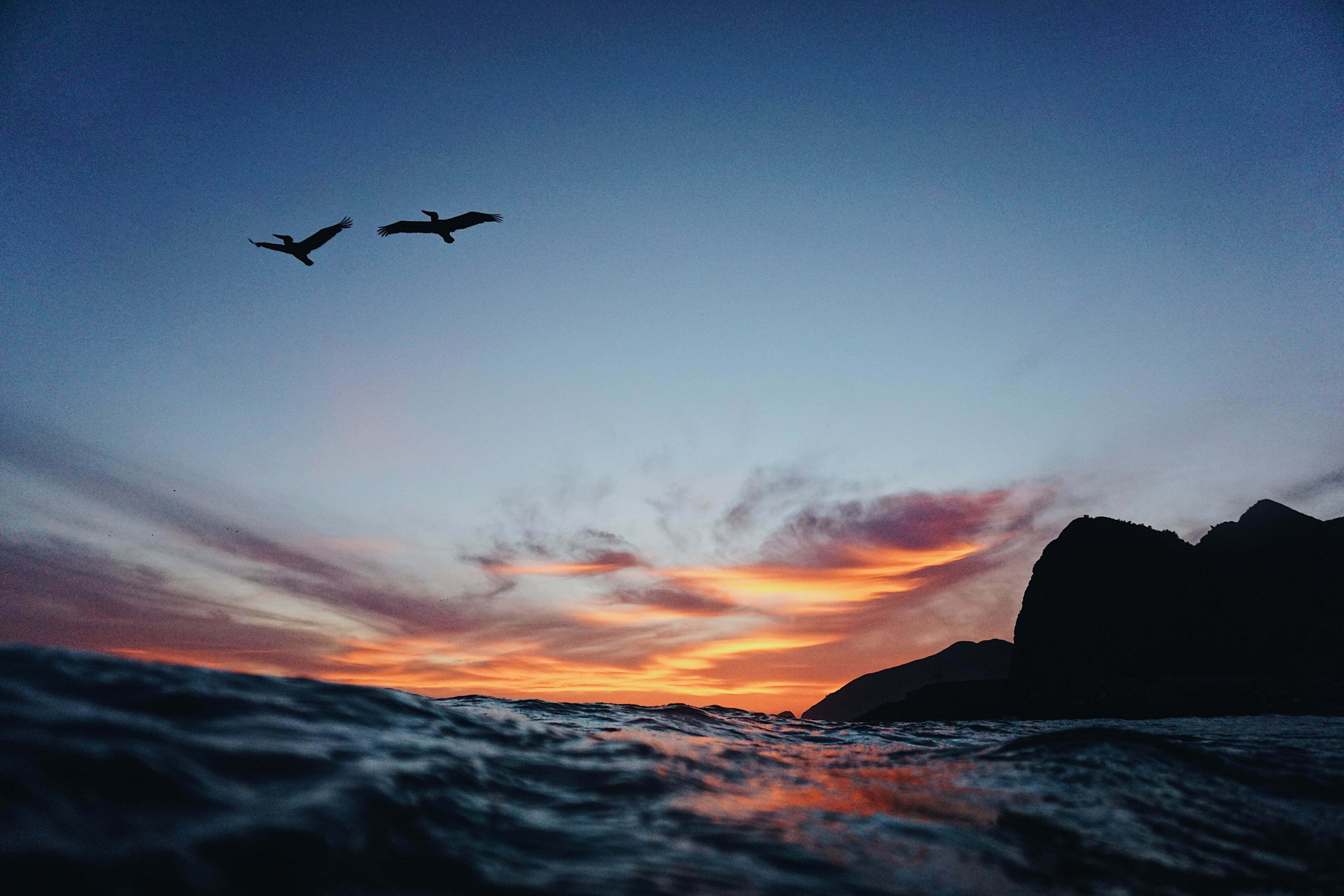 Malibu Beach, sunrise, twilight sky, 5K Desktop Wallpaper