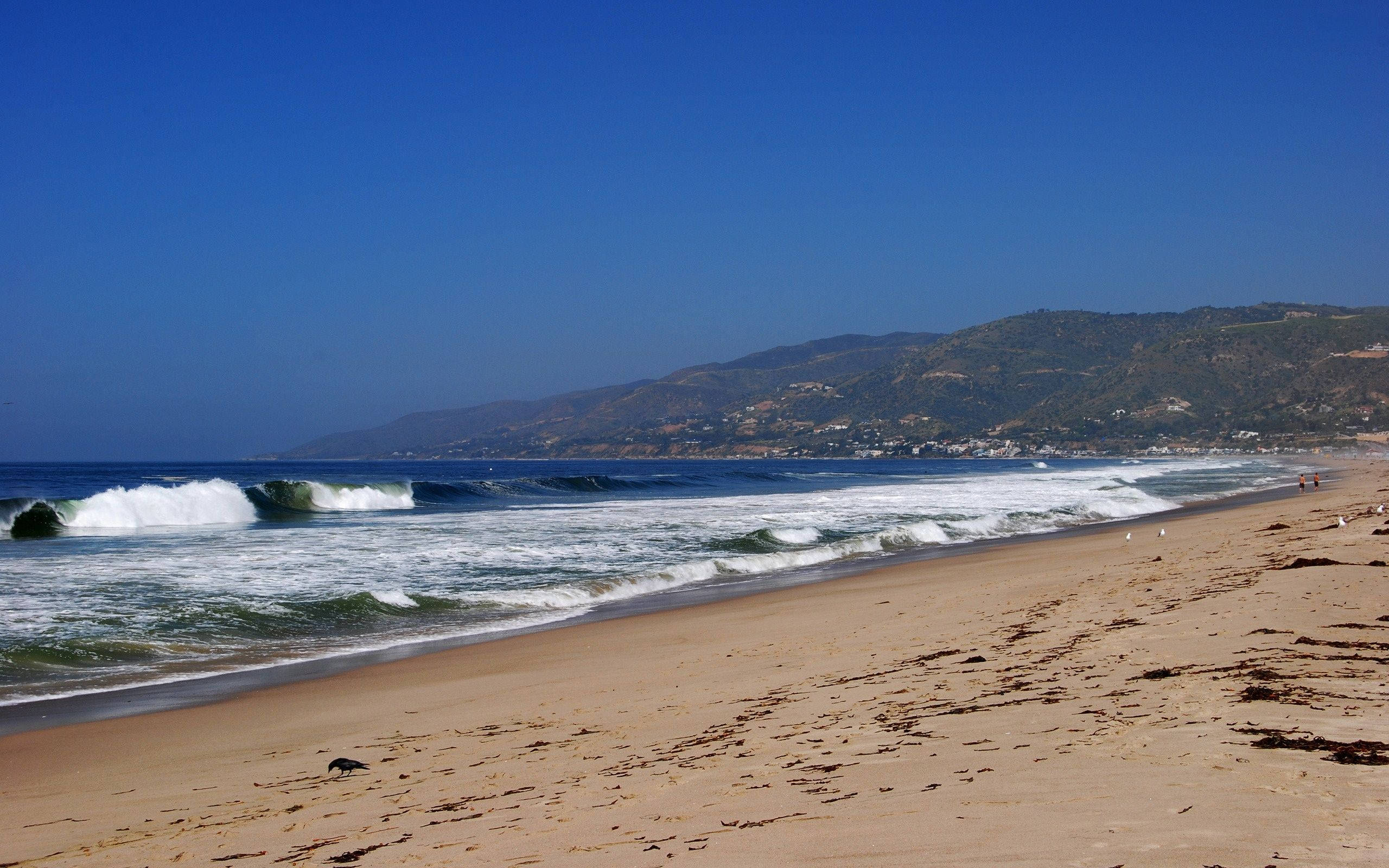 Malibu California, golden sand, rolling ocean waves, 2K Desktop Wallpaper