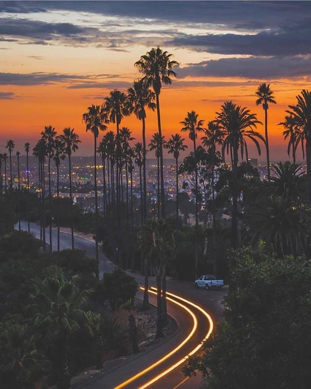 Malibu California, palm trees, sunset, HD Phone Wallpaper