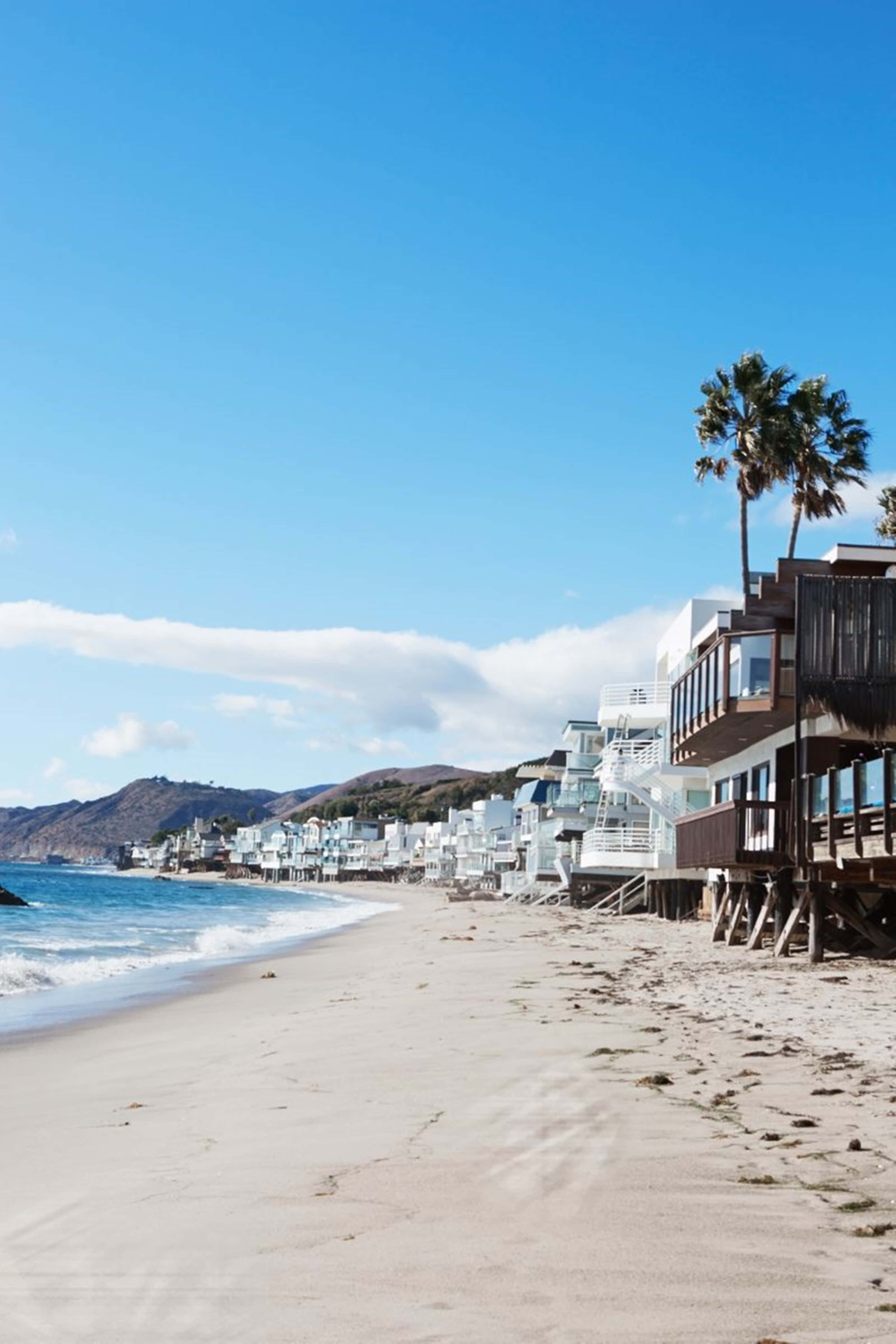 Malibu, California, palm trees, 5K Phone Wallpaper