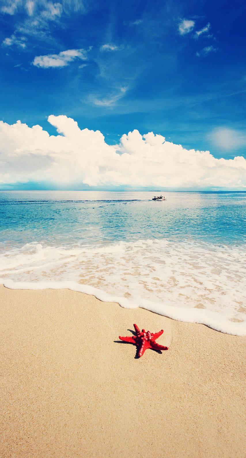red starfish, golden sand, gentle waves, HD Phone Wallpaper
