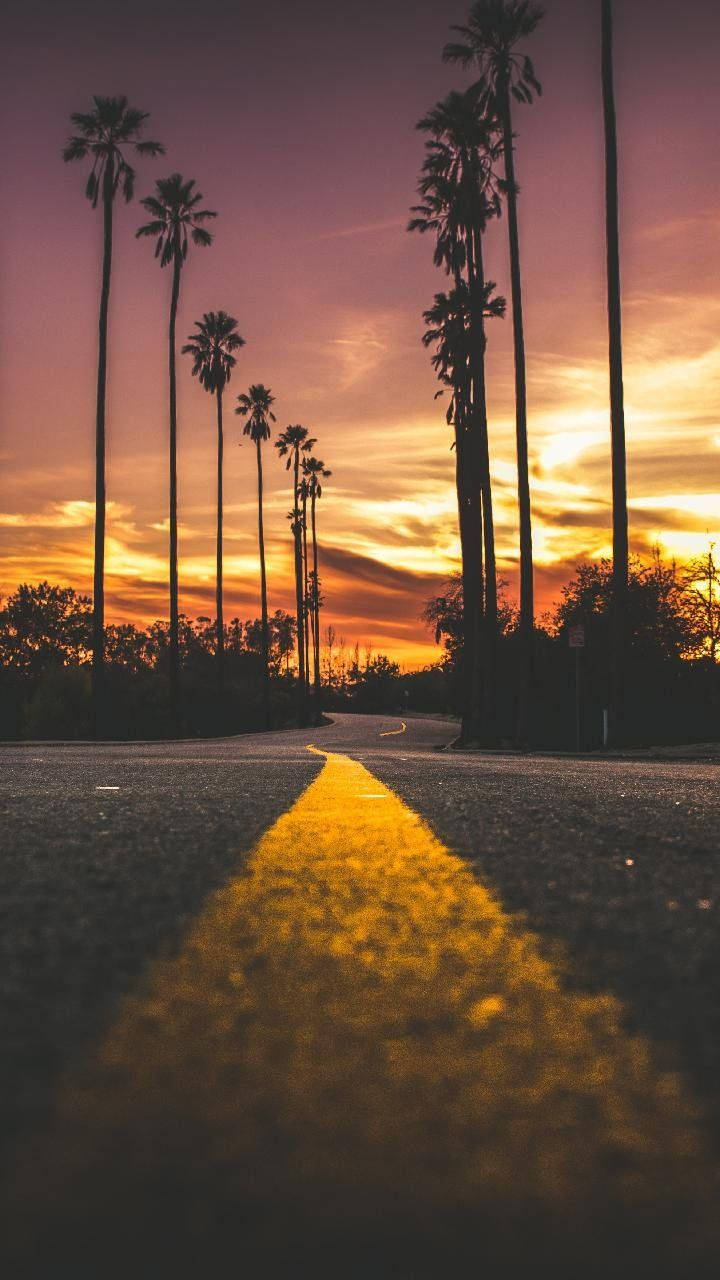 Malibu iPhone, palm trees, sunset, HD Phone Wallpaper