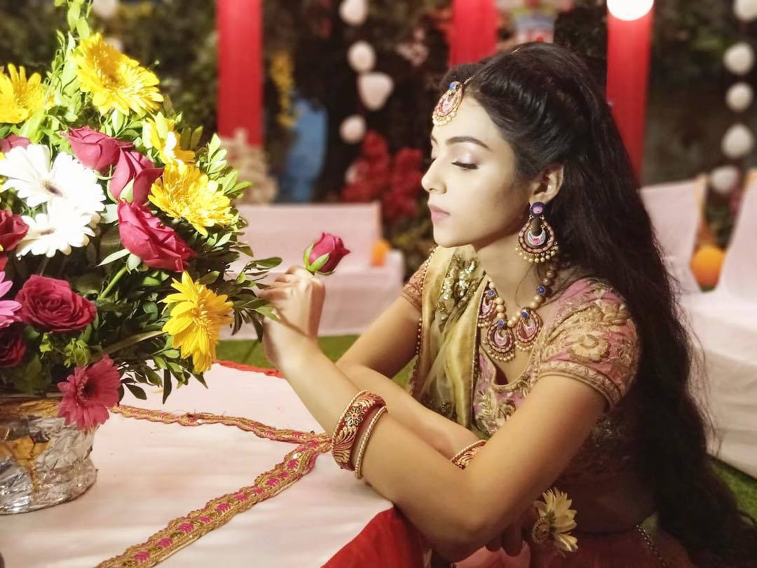 Mallika Singh, rose, ornate traditional attire, SD Desktop Wallpaper