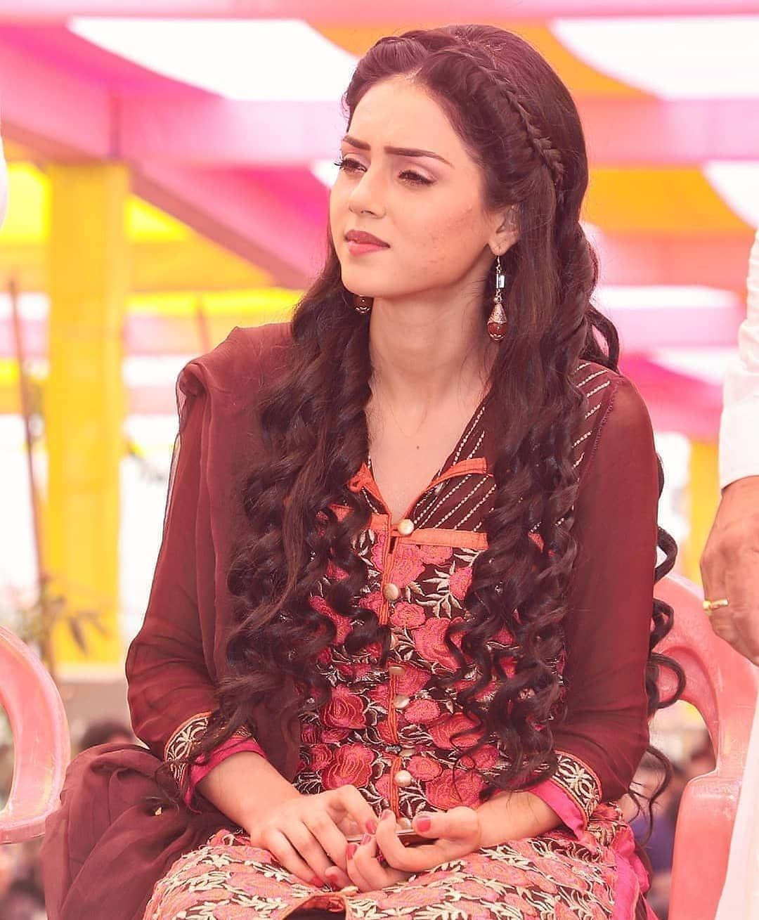 Mallika Singh, long braided hair, traditional attire, HD Phone Wallpaper
