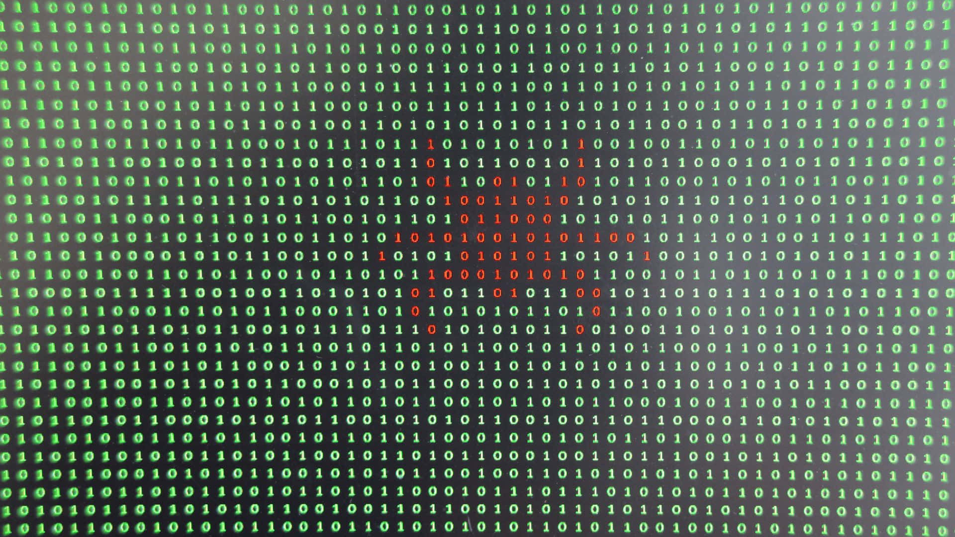 Malware, red and green bug, digital matrix, Full HD Desktop Wallpaper
