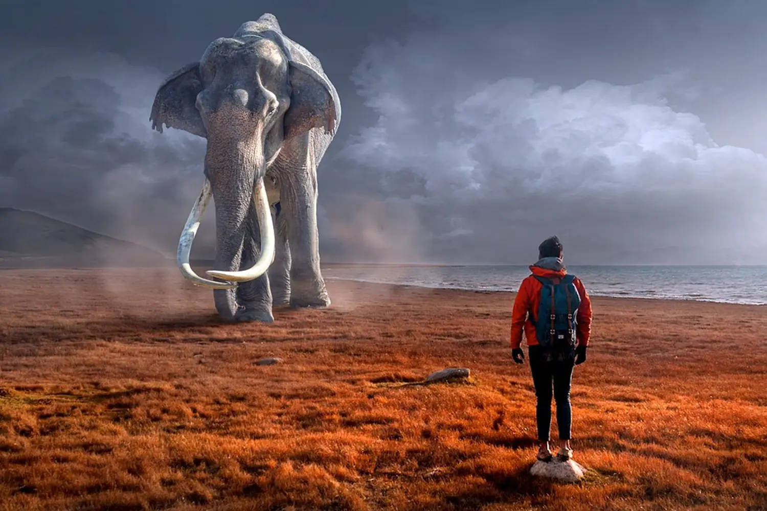 mammoth, red jacket, rust-colored beach, HD Desktop Wallpaper