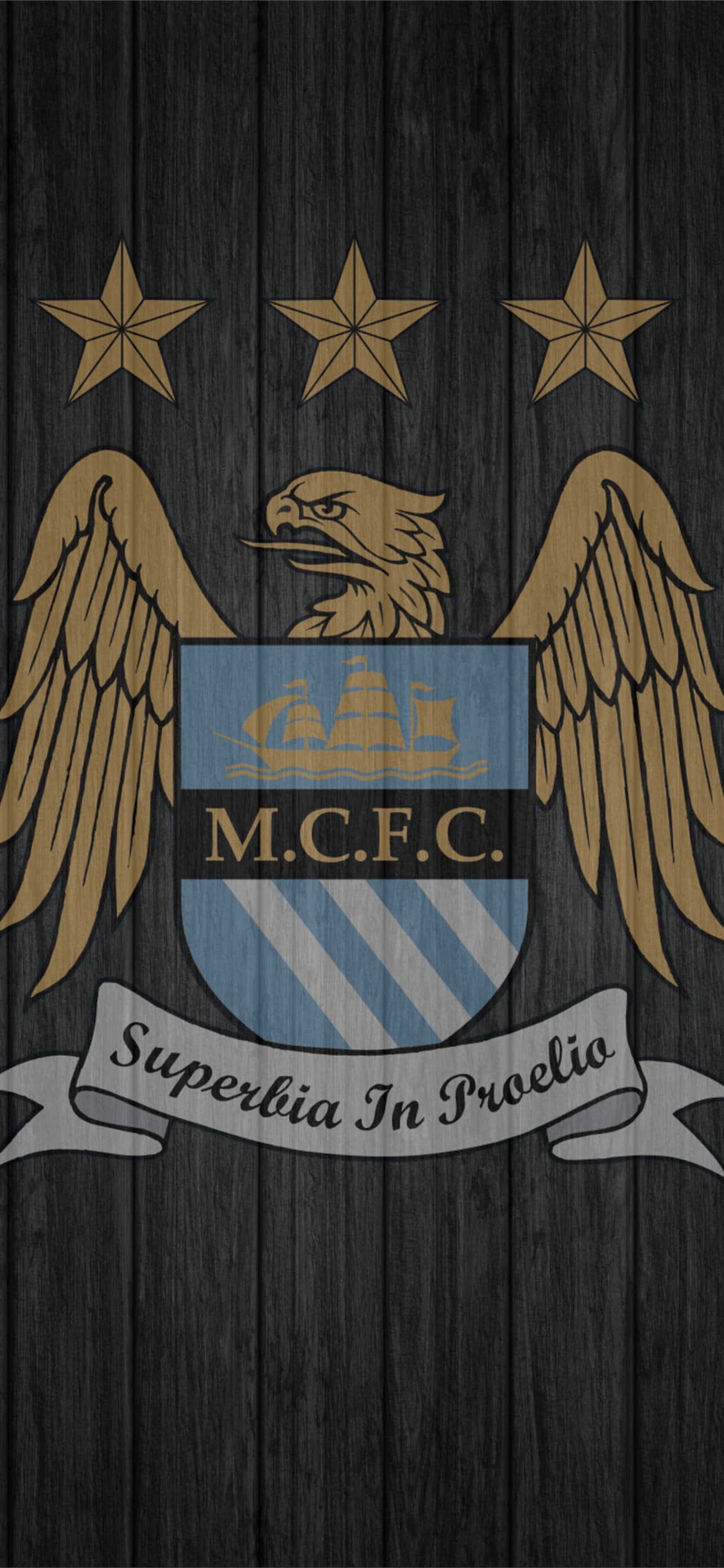 Manchester City F.C. Logo, golden eagle, stars, 2K Phone Wallpaper