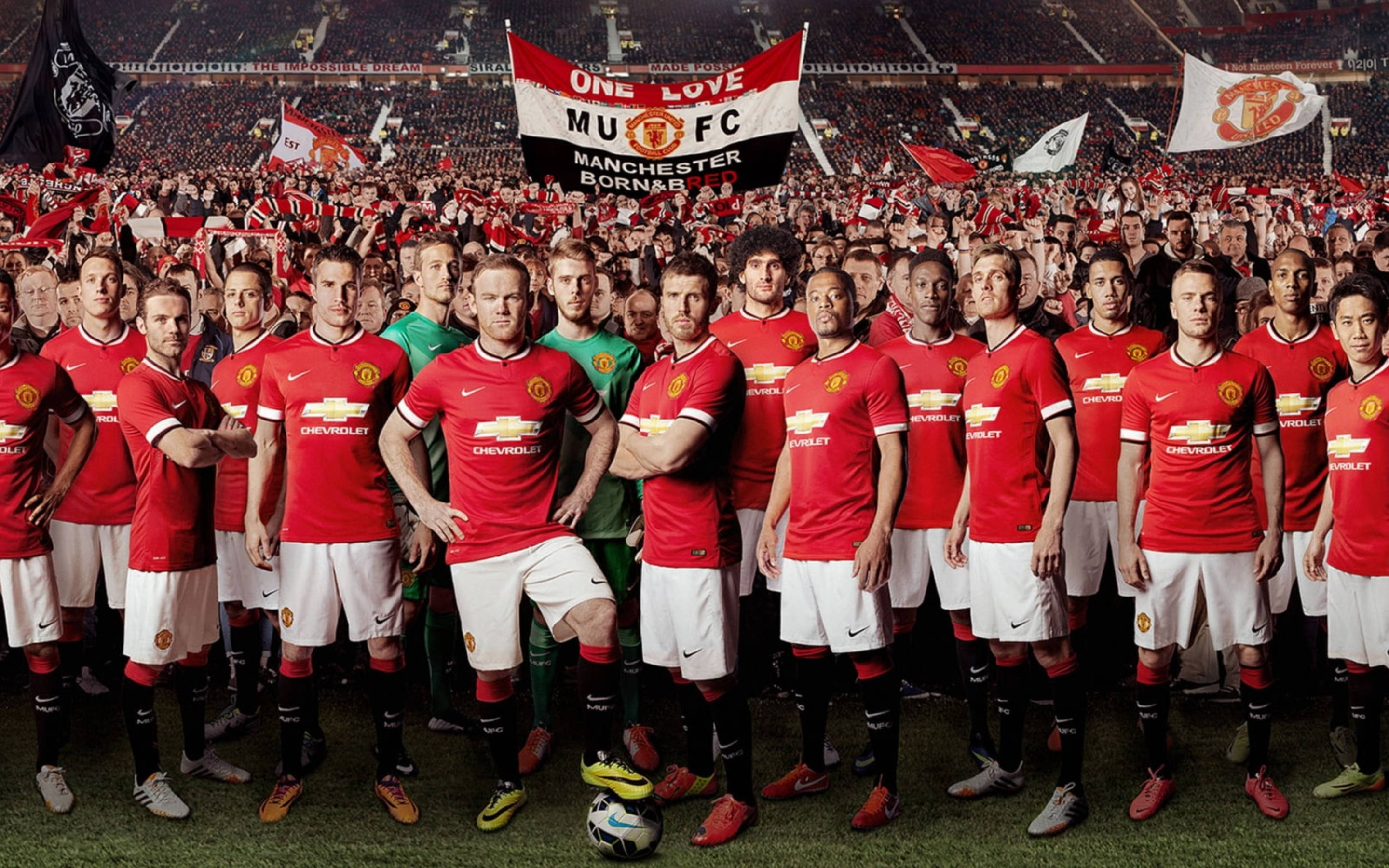 Manchester United, red kits, stadium pitch, 2K Desktop Wallpaper