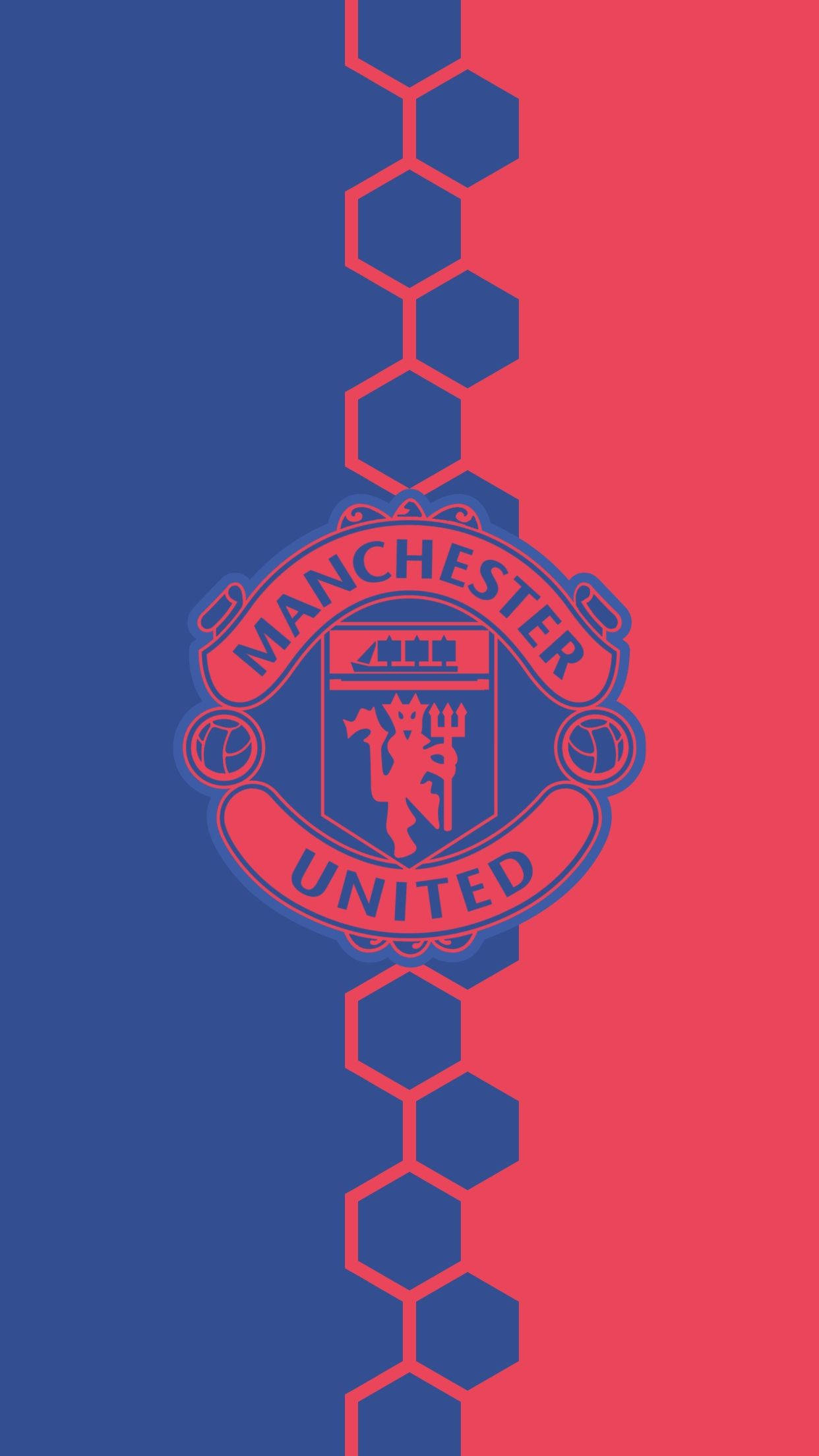 Manchester United, Manchester United crest, blue and red split background, Full HD Phone Wallpaper