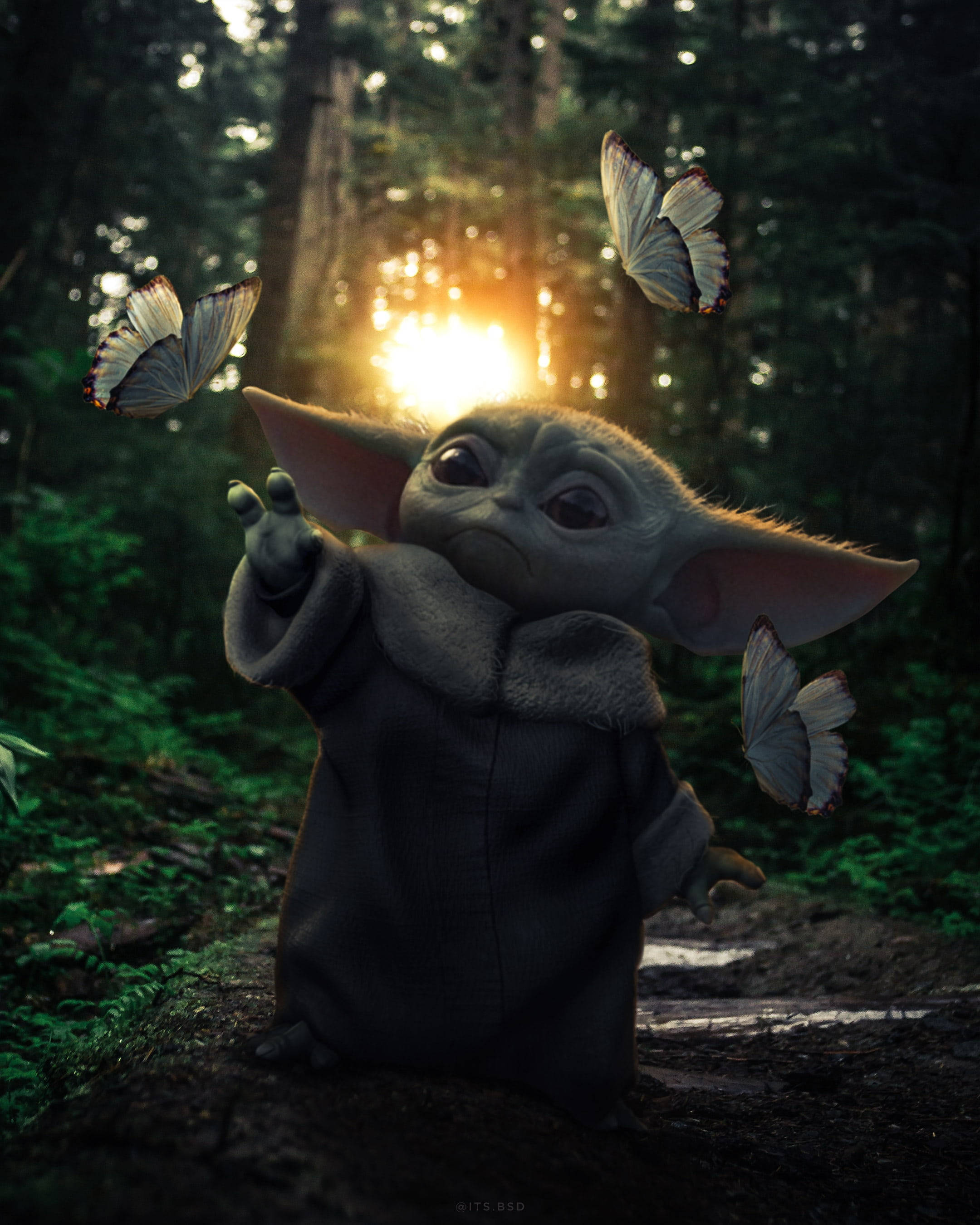 Mandalorian, Baby Yoda, sunlit forest, 2K Phone Wallpaper