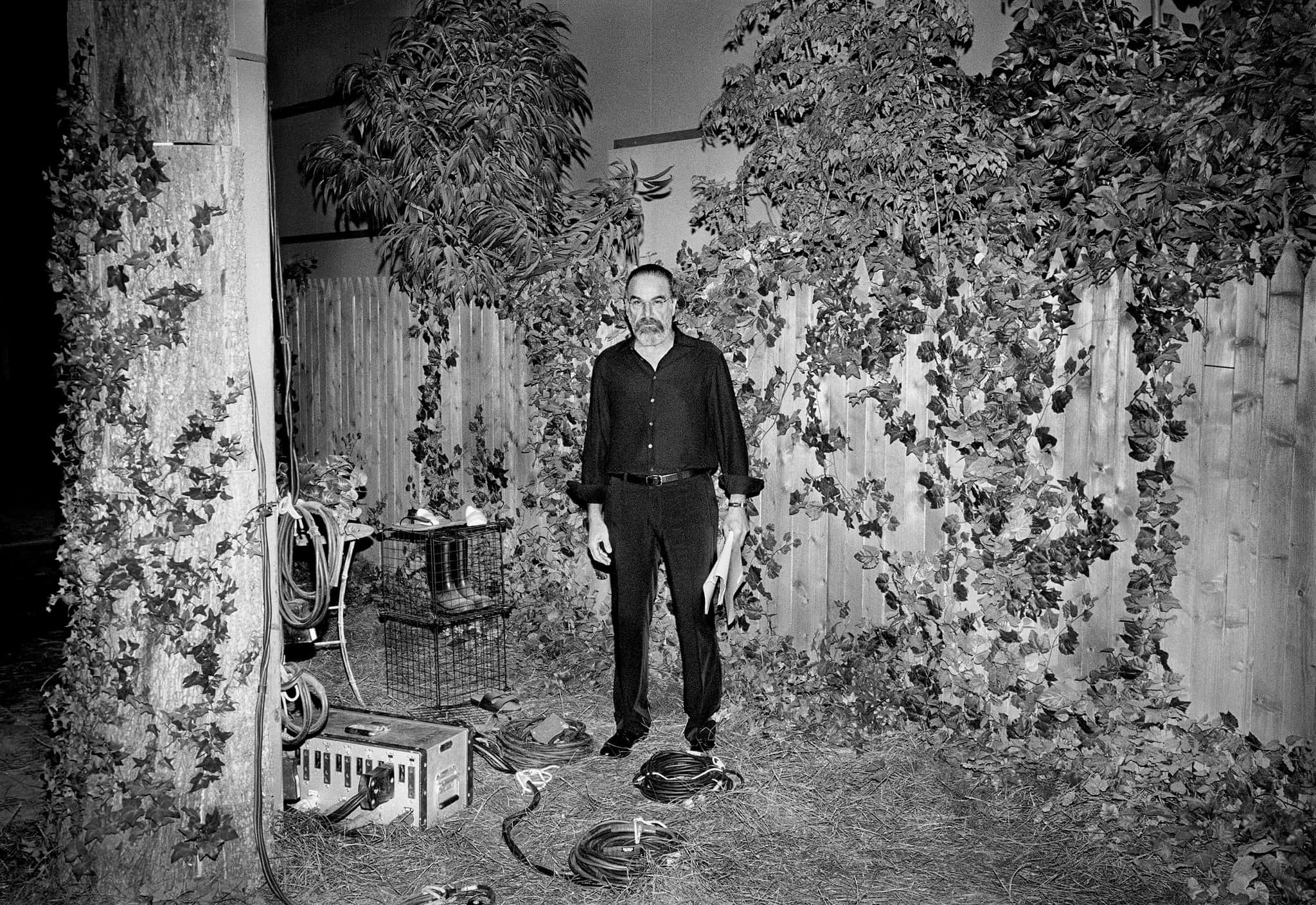Mandy Patinkin, night, vine-choked backyard, Full HD Desktop Wallpaper