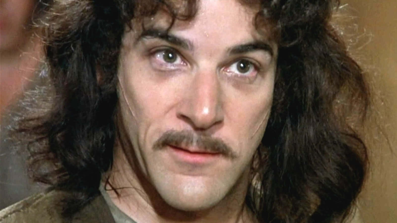 Mandy Patinkin, long dark curly hair, mustache, HD Desktop Wallpaper