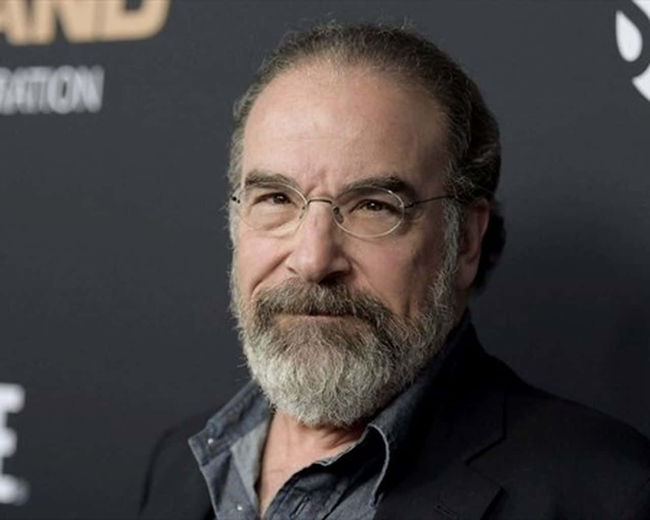 Mandy Patinkin, gray beard, glasses, HD Desktop Wallpaper