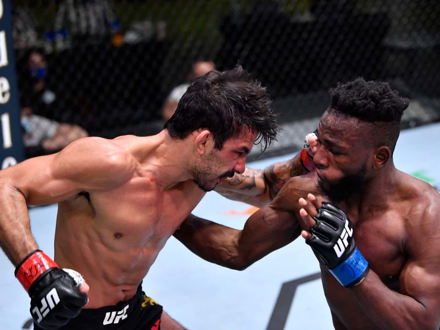 Manel Kape, side punch, MMA fighters, HD Desktop Wallpaper